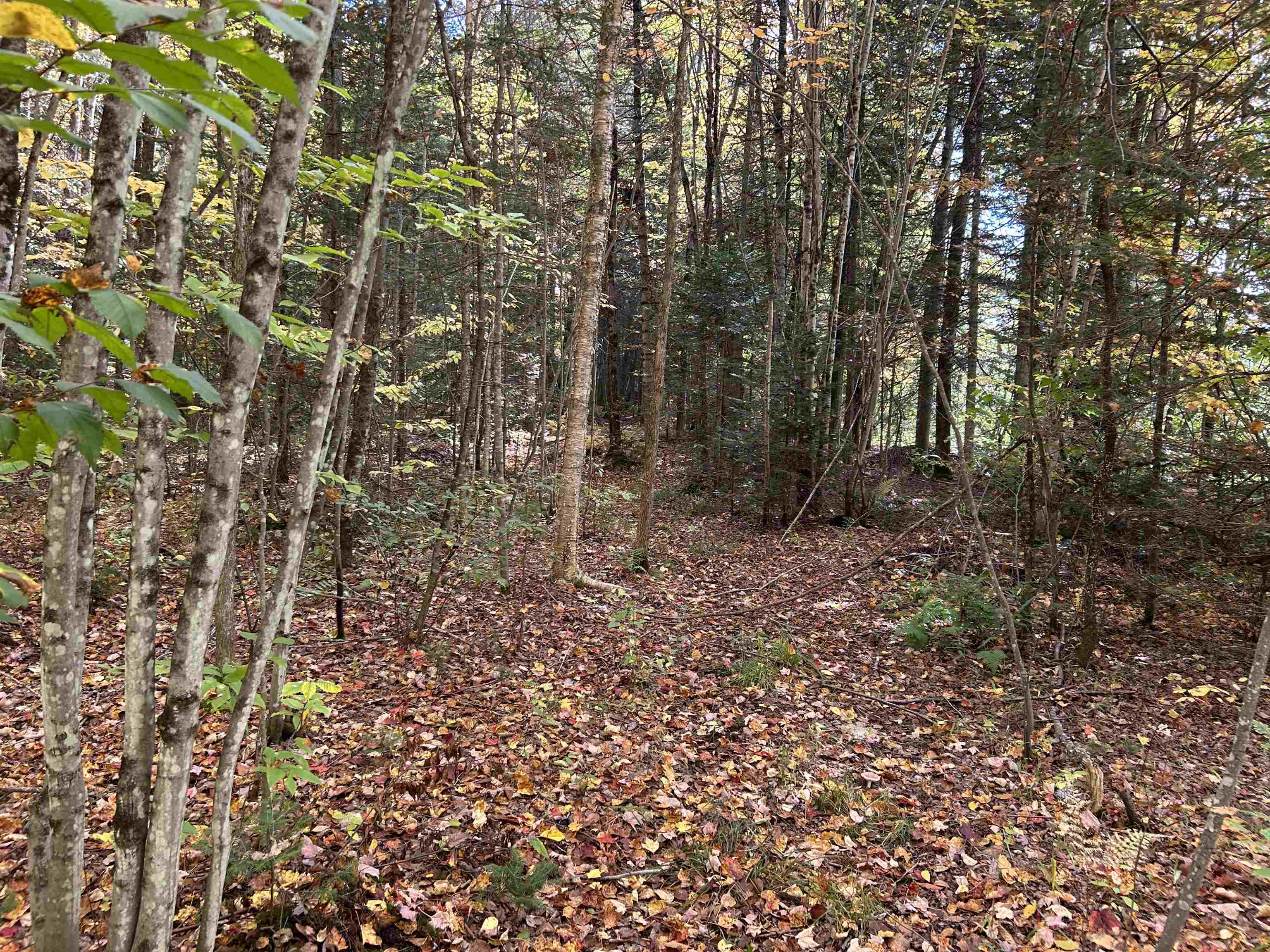 main property photo 35