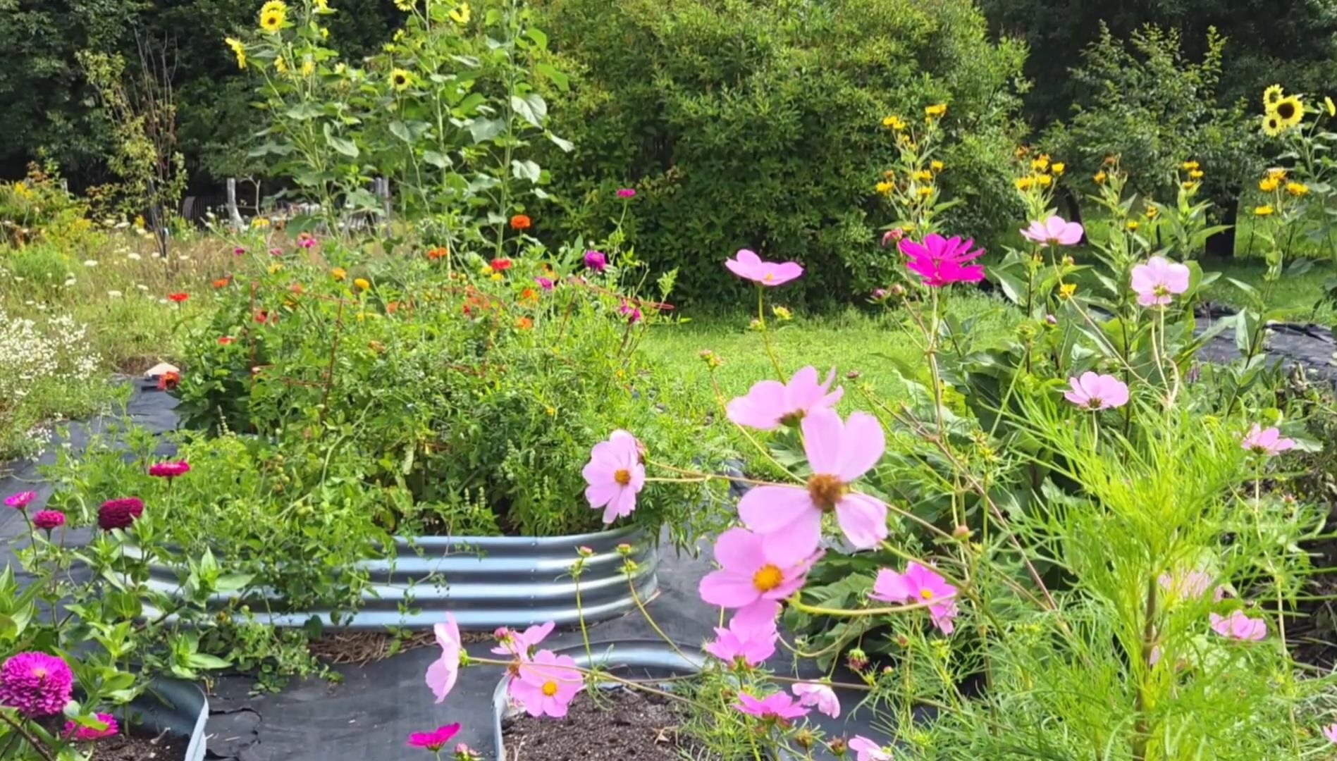 main property photo 17
