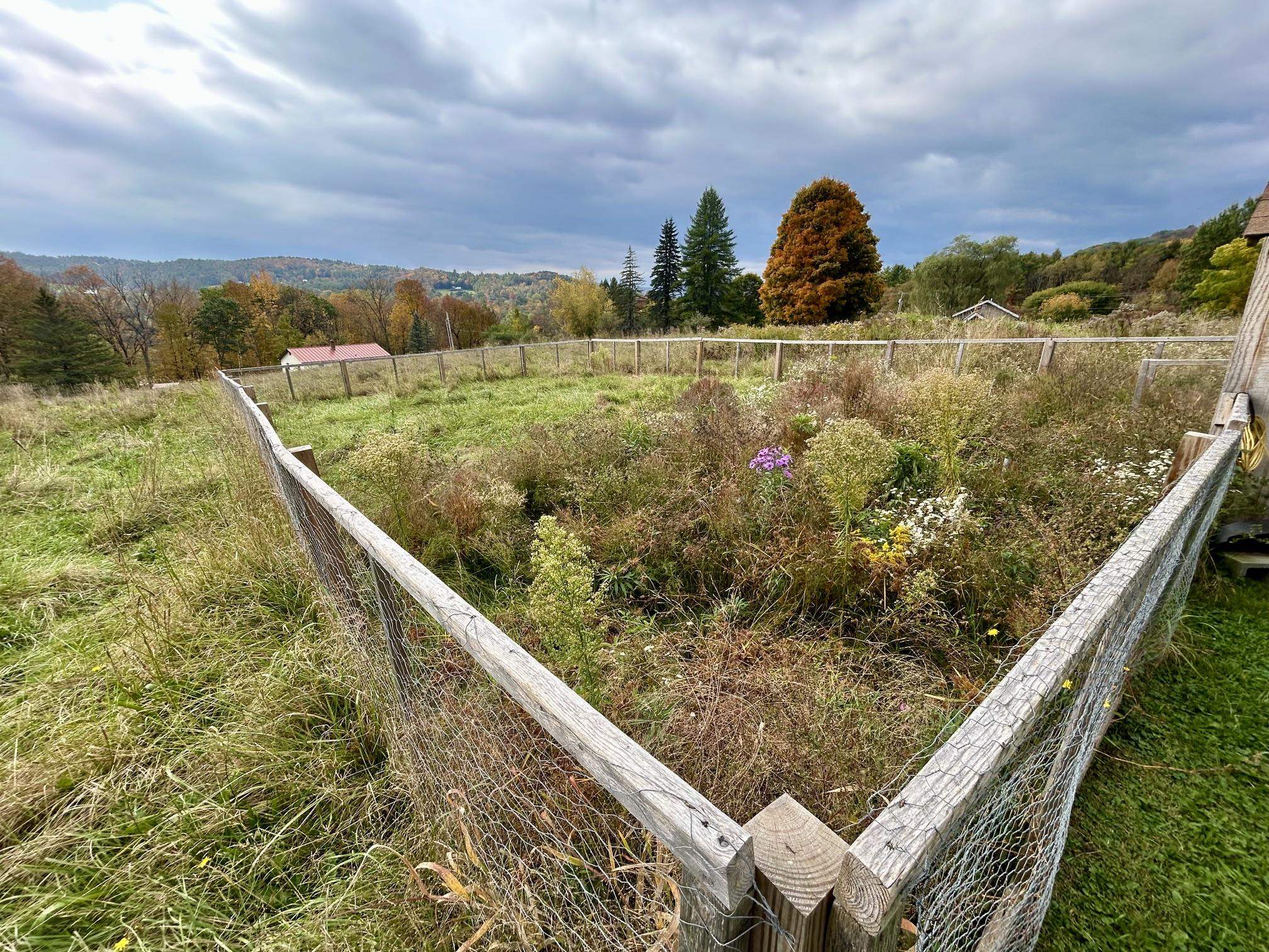 main property photo 39