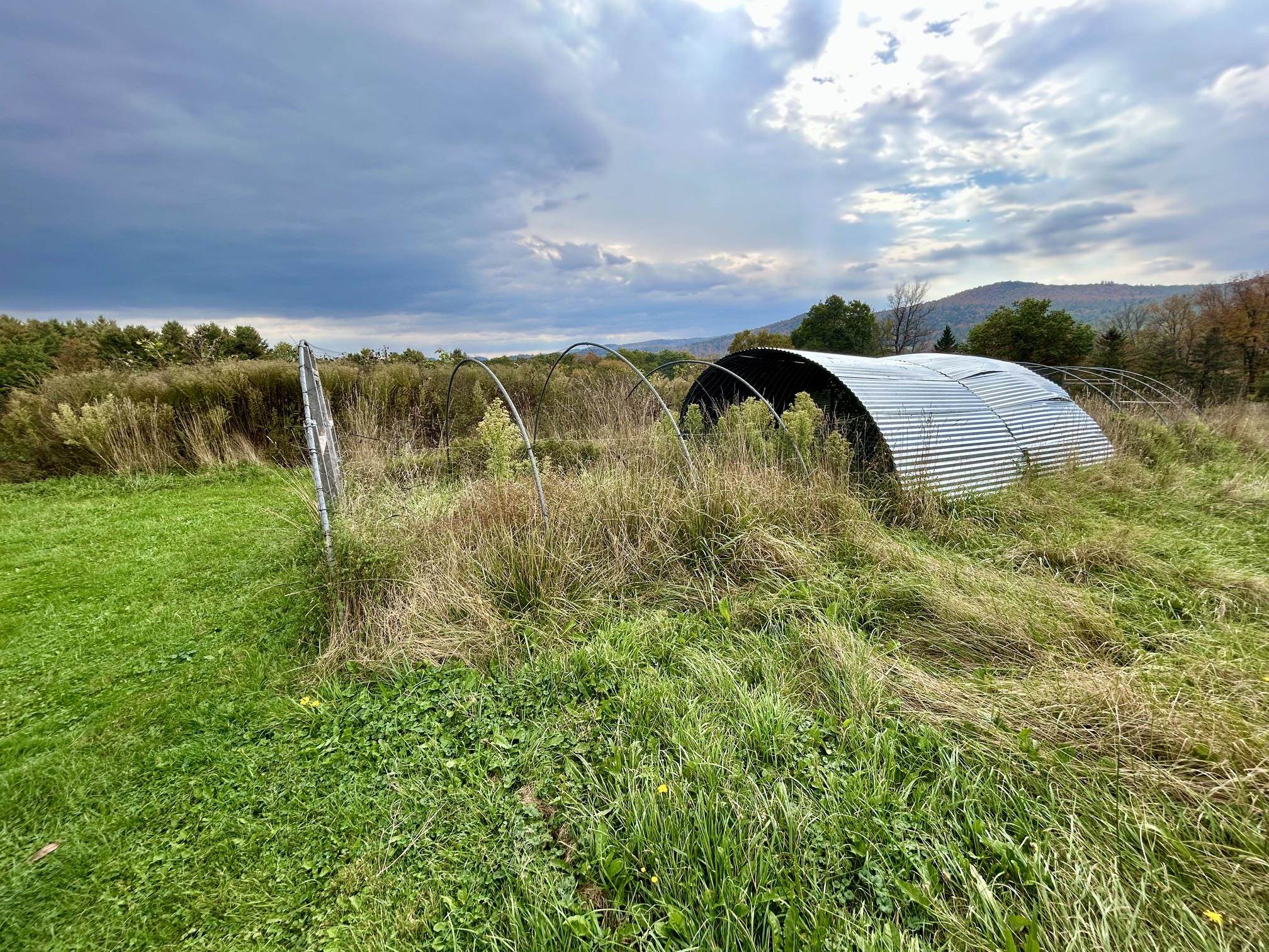 main property photo 40