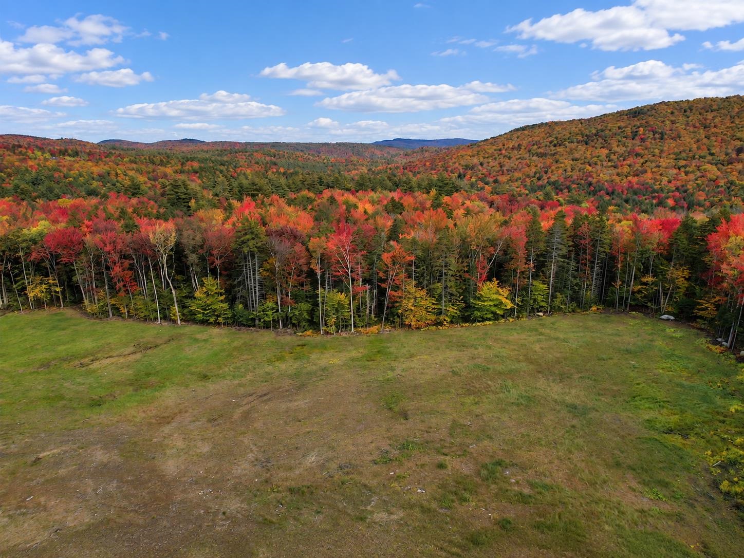main property photo 47