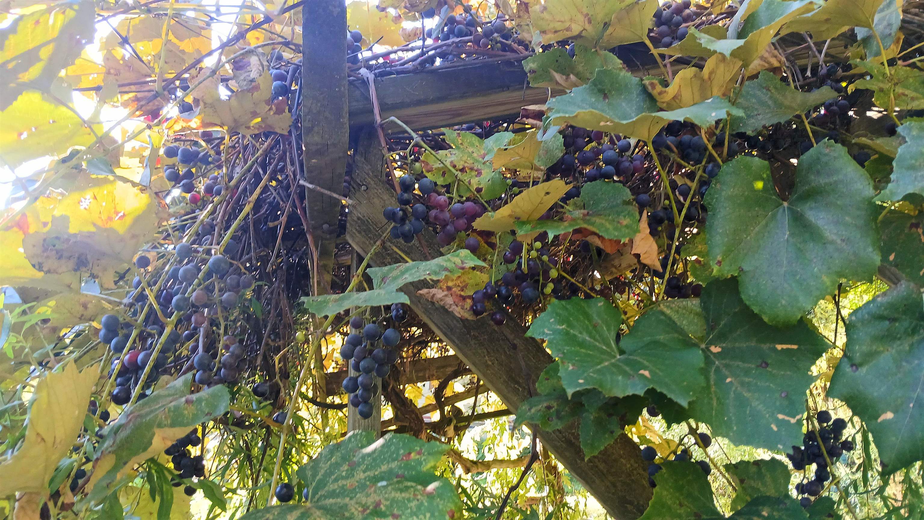 main property photo 3