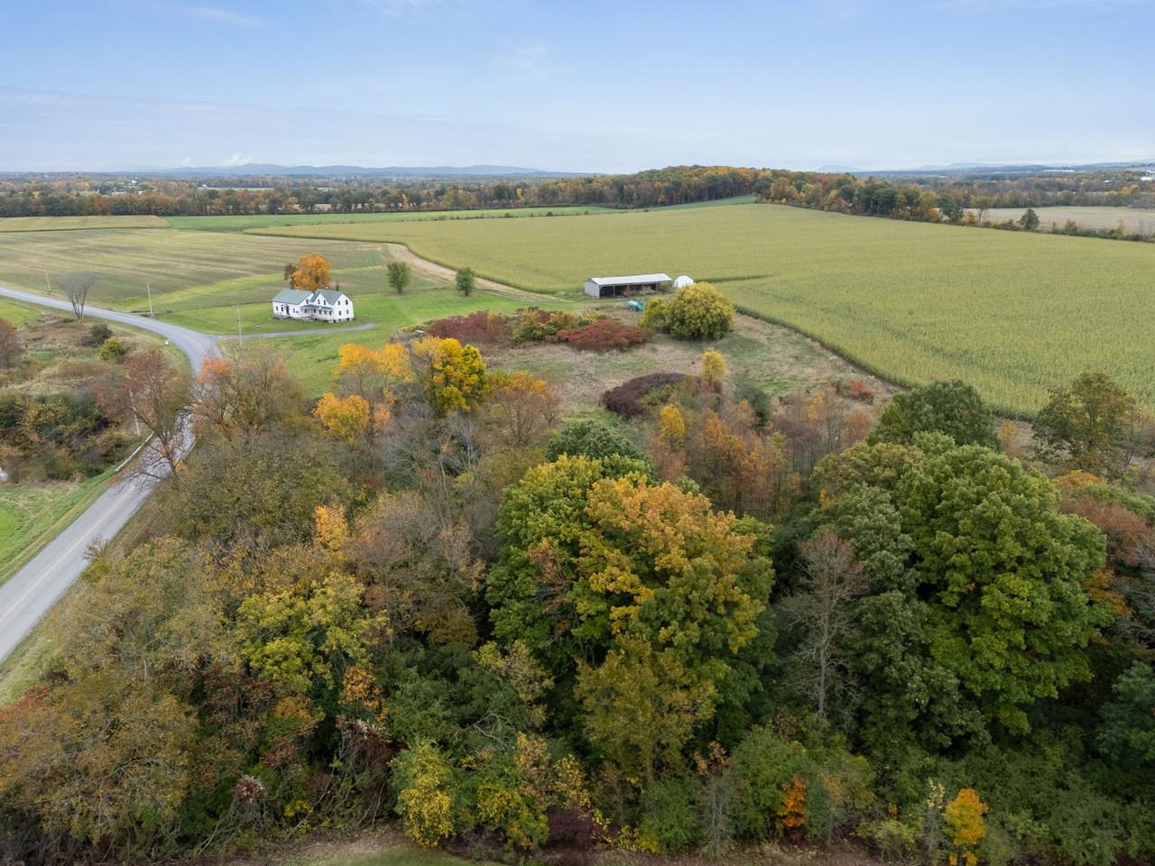 main property photo 59