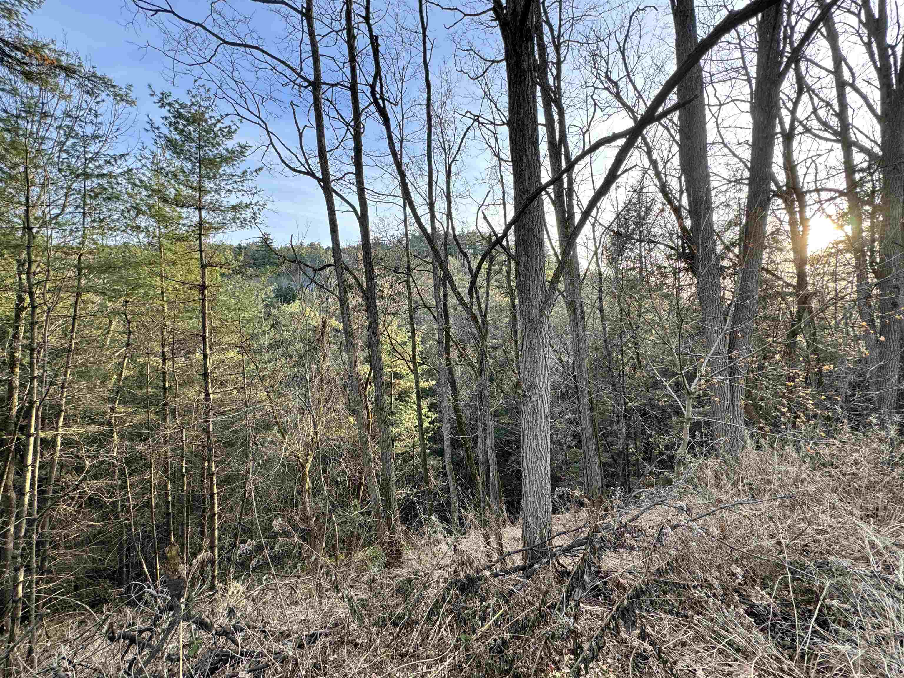 main property photo 35