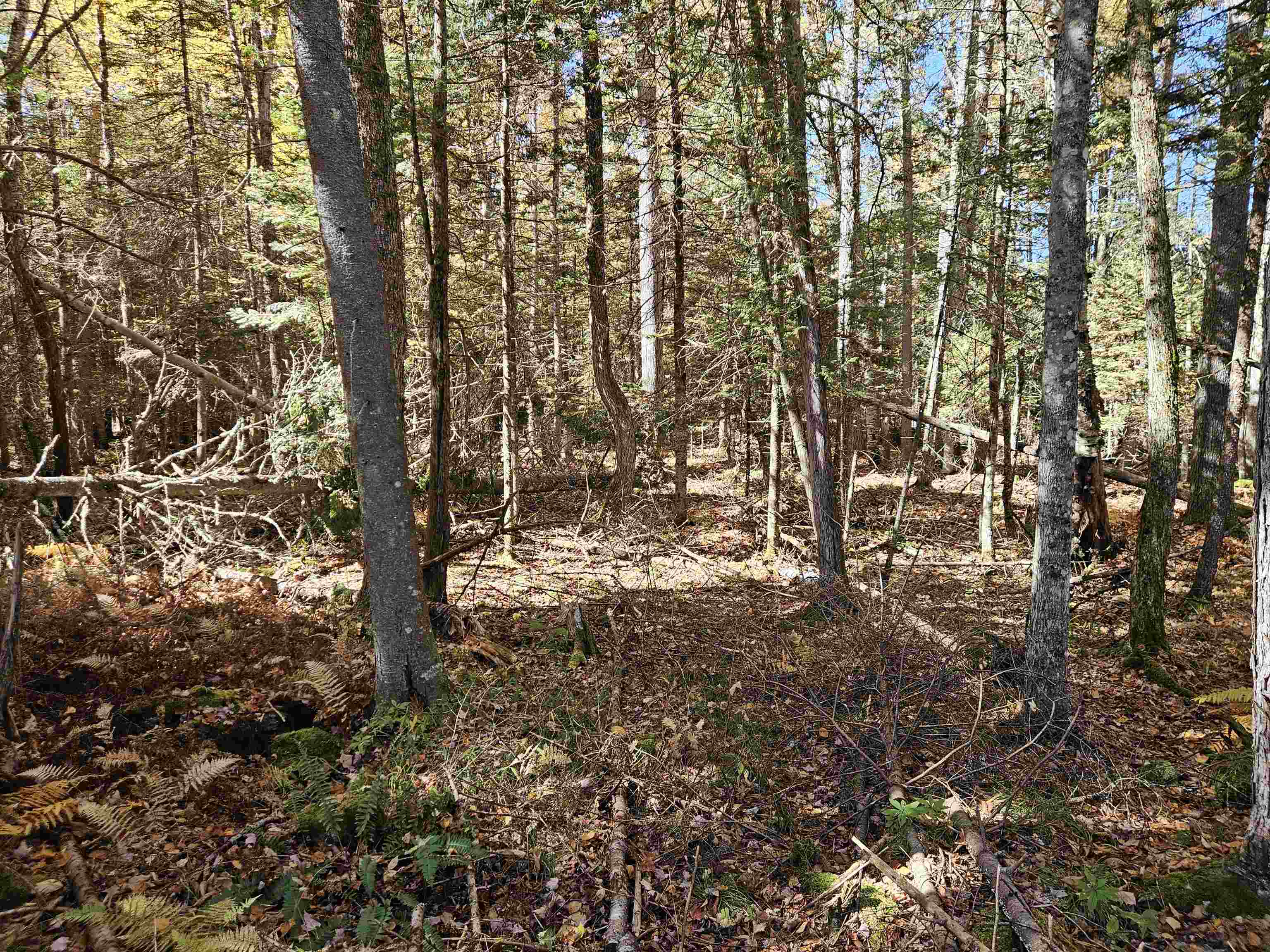 main property photo 11