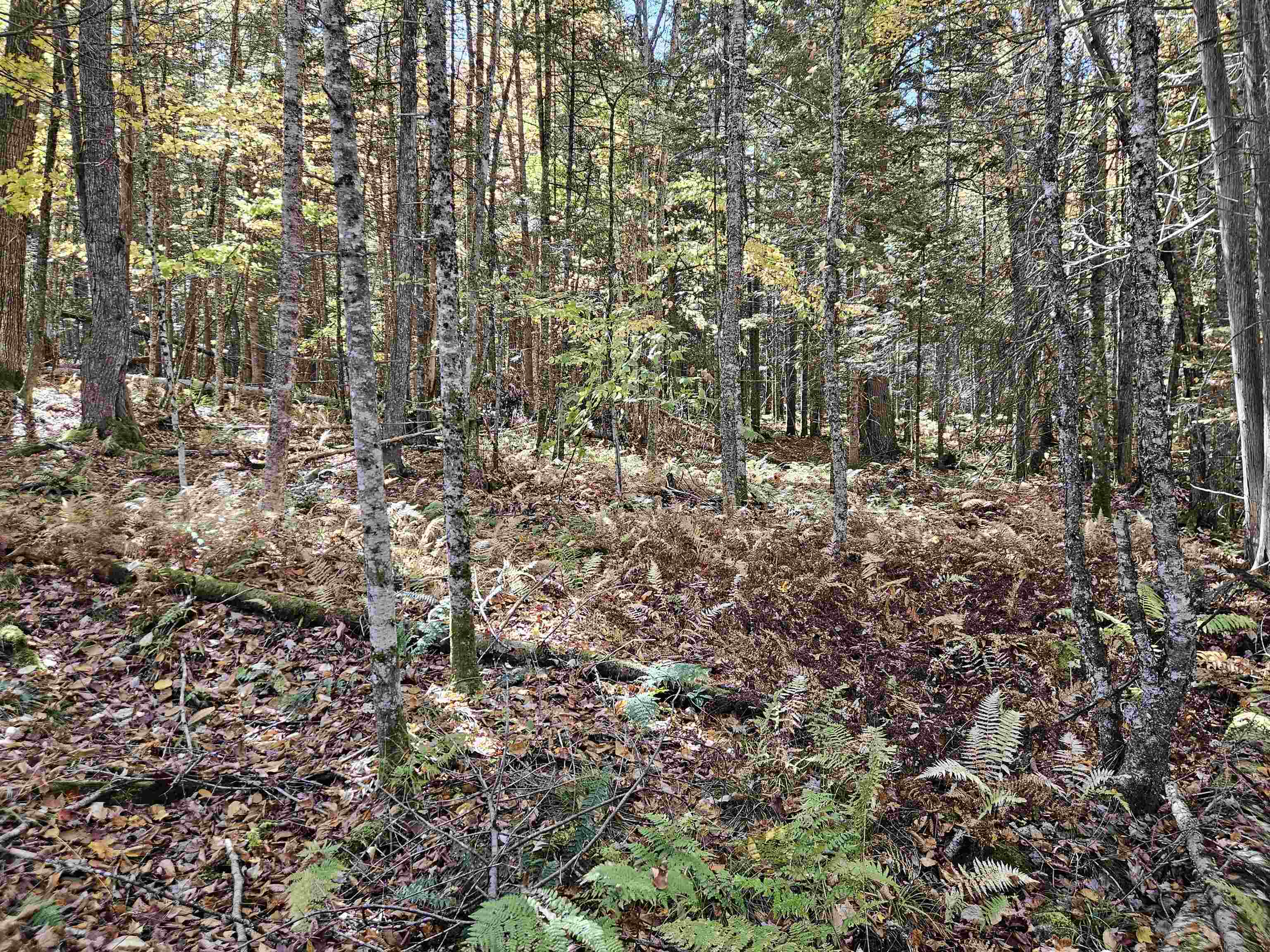 main property photo 12