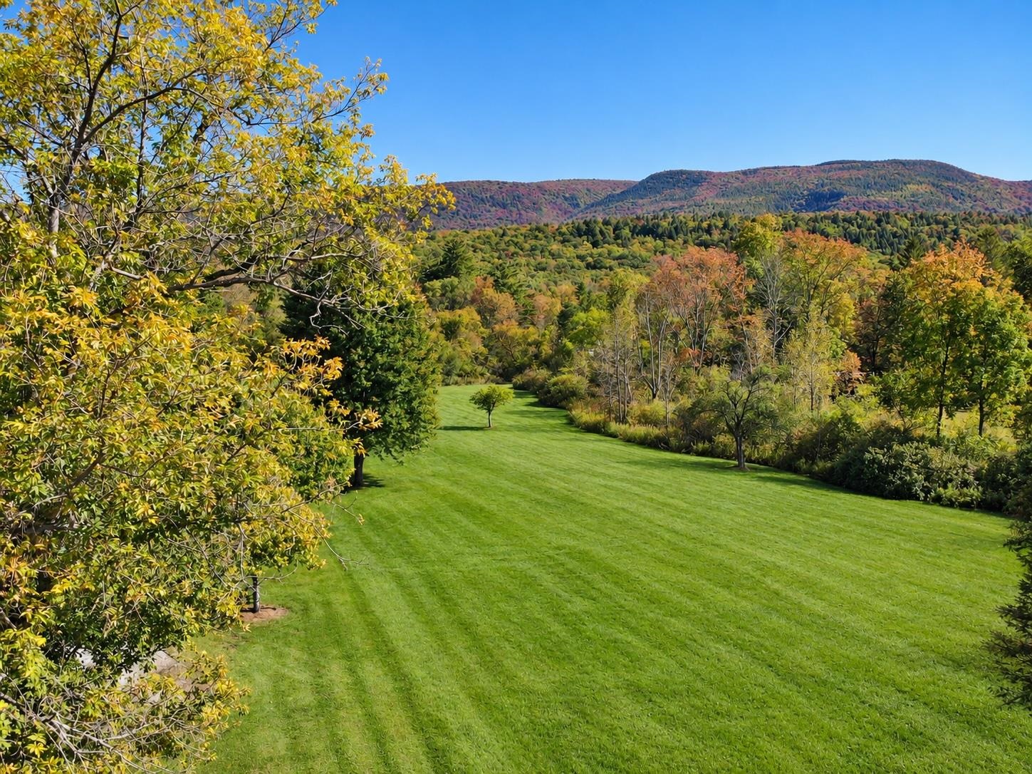 main property photo 35