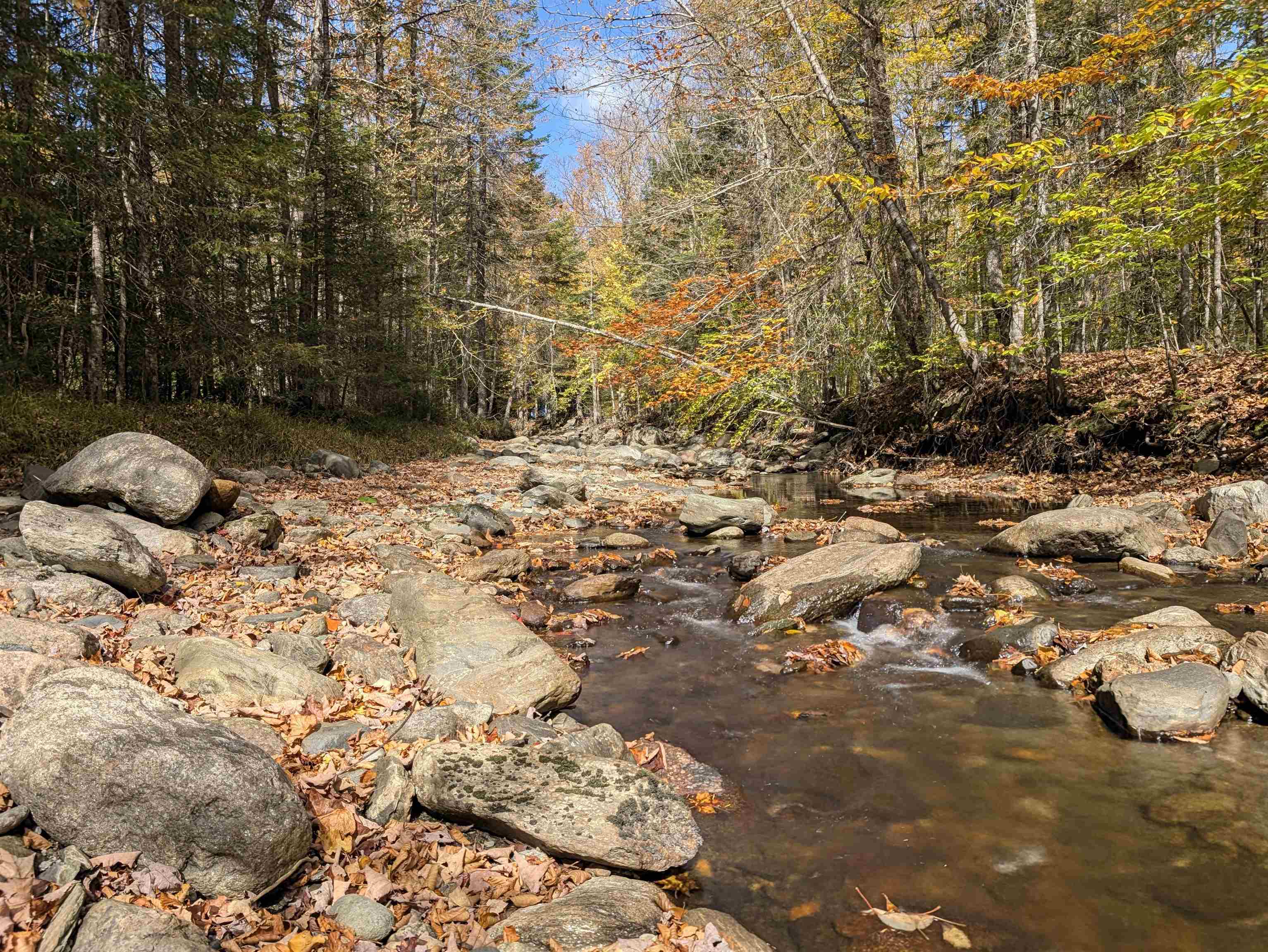 main property photo 42