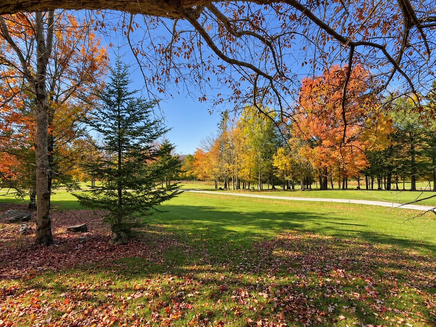 main property photo 32