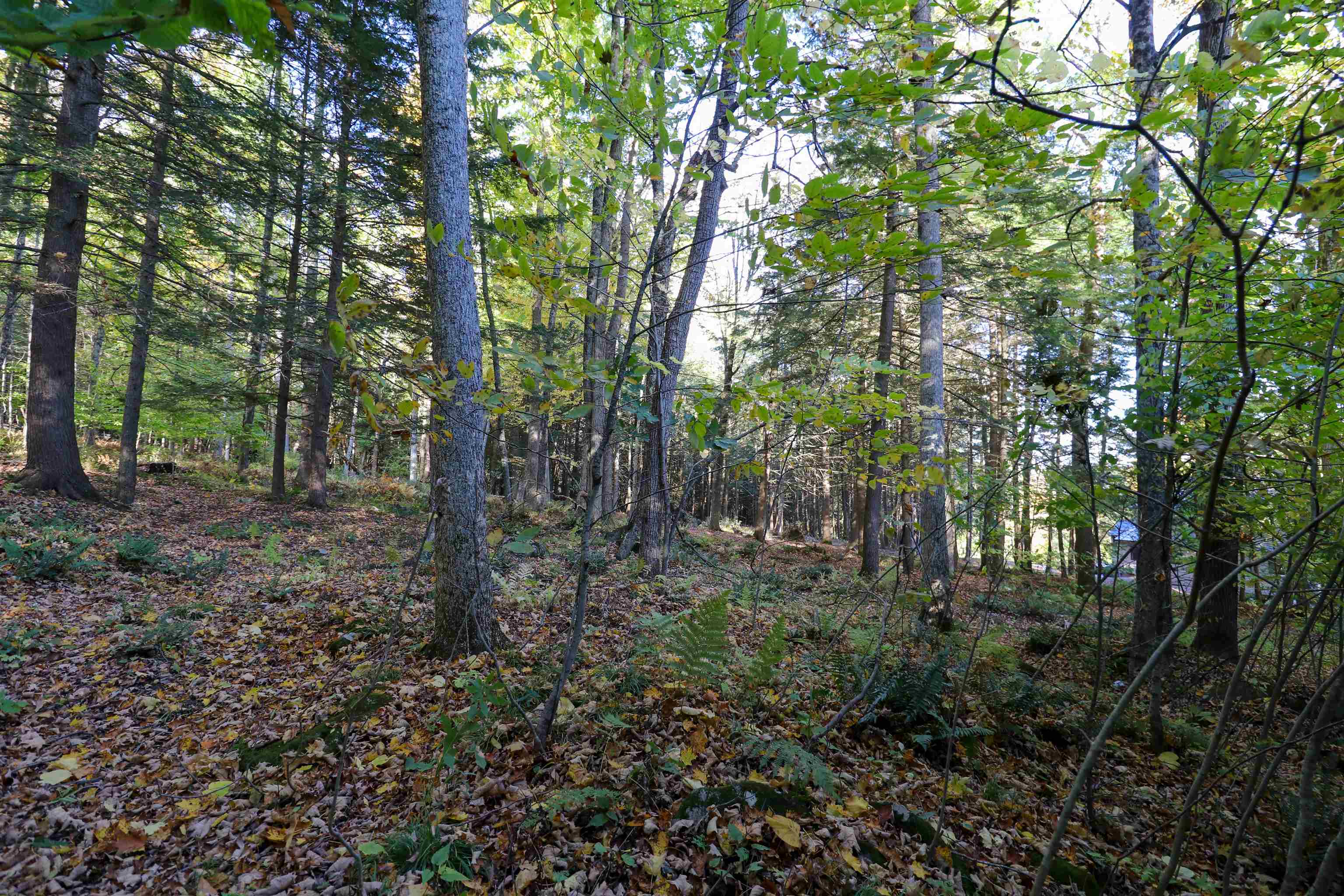 main property photo 43
