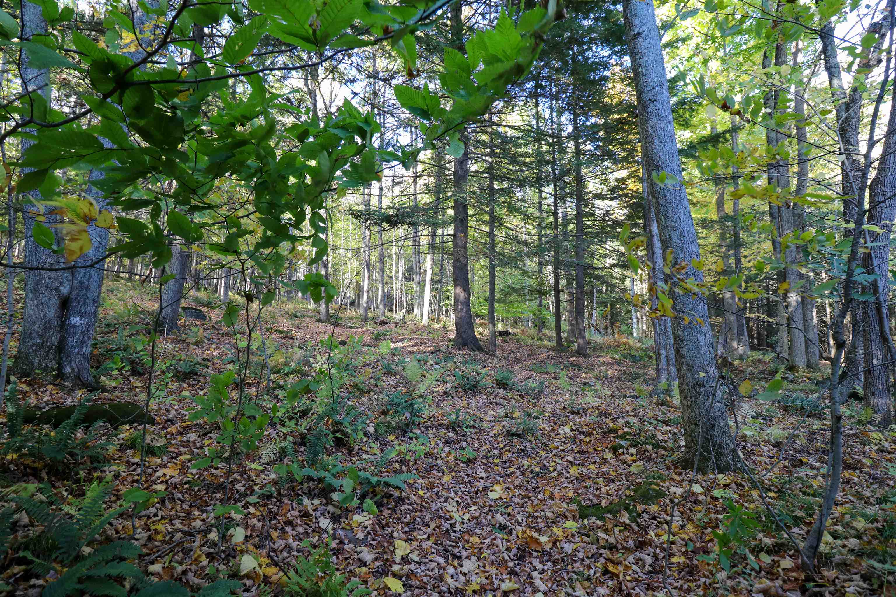 main property photo 44