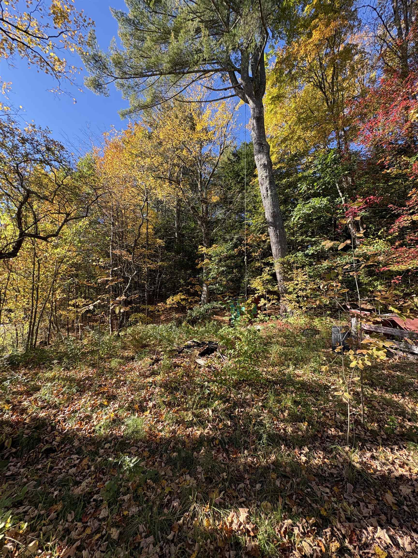 main property photo 7
