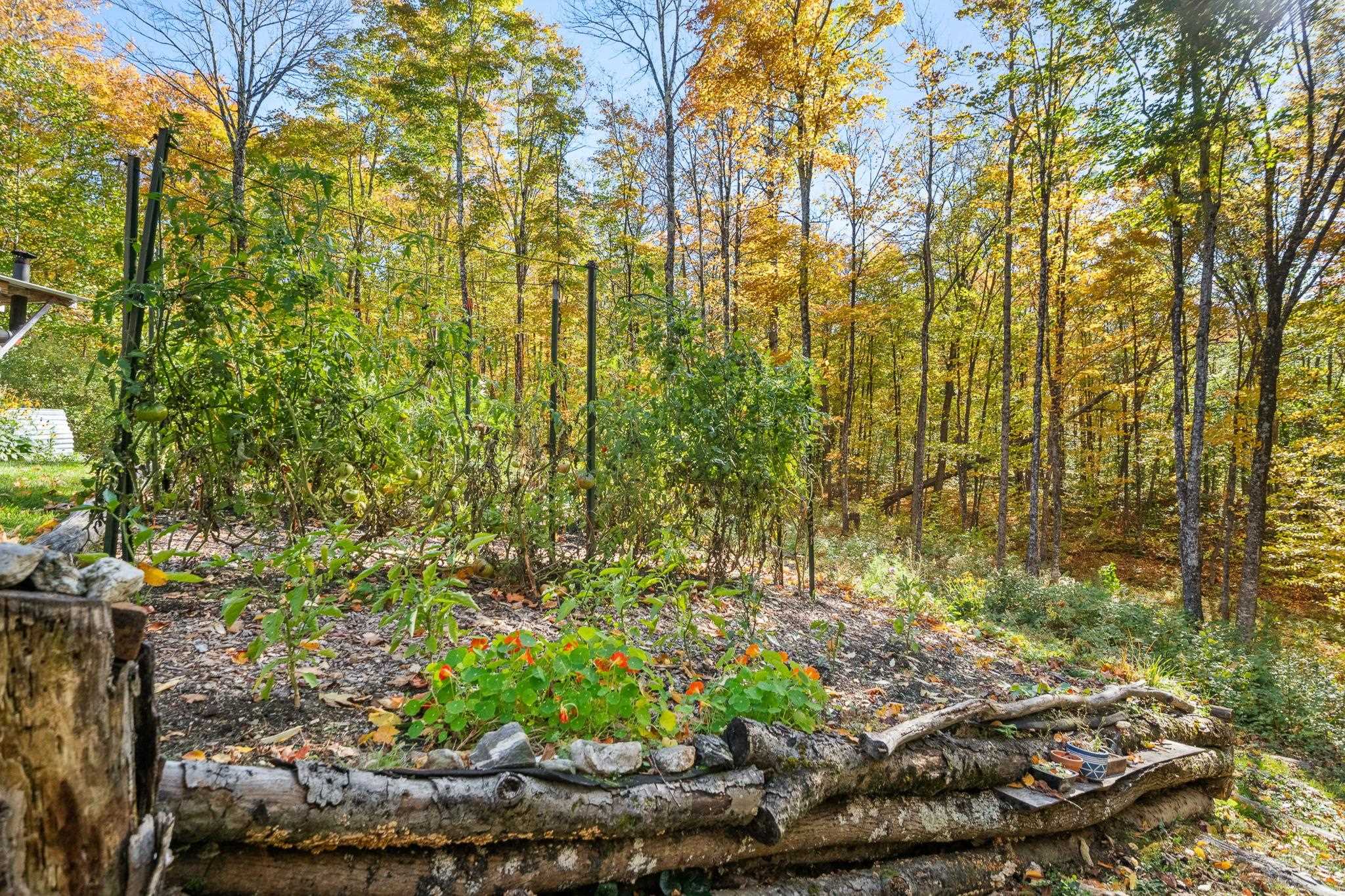 main property photo 55