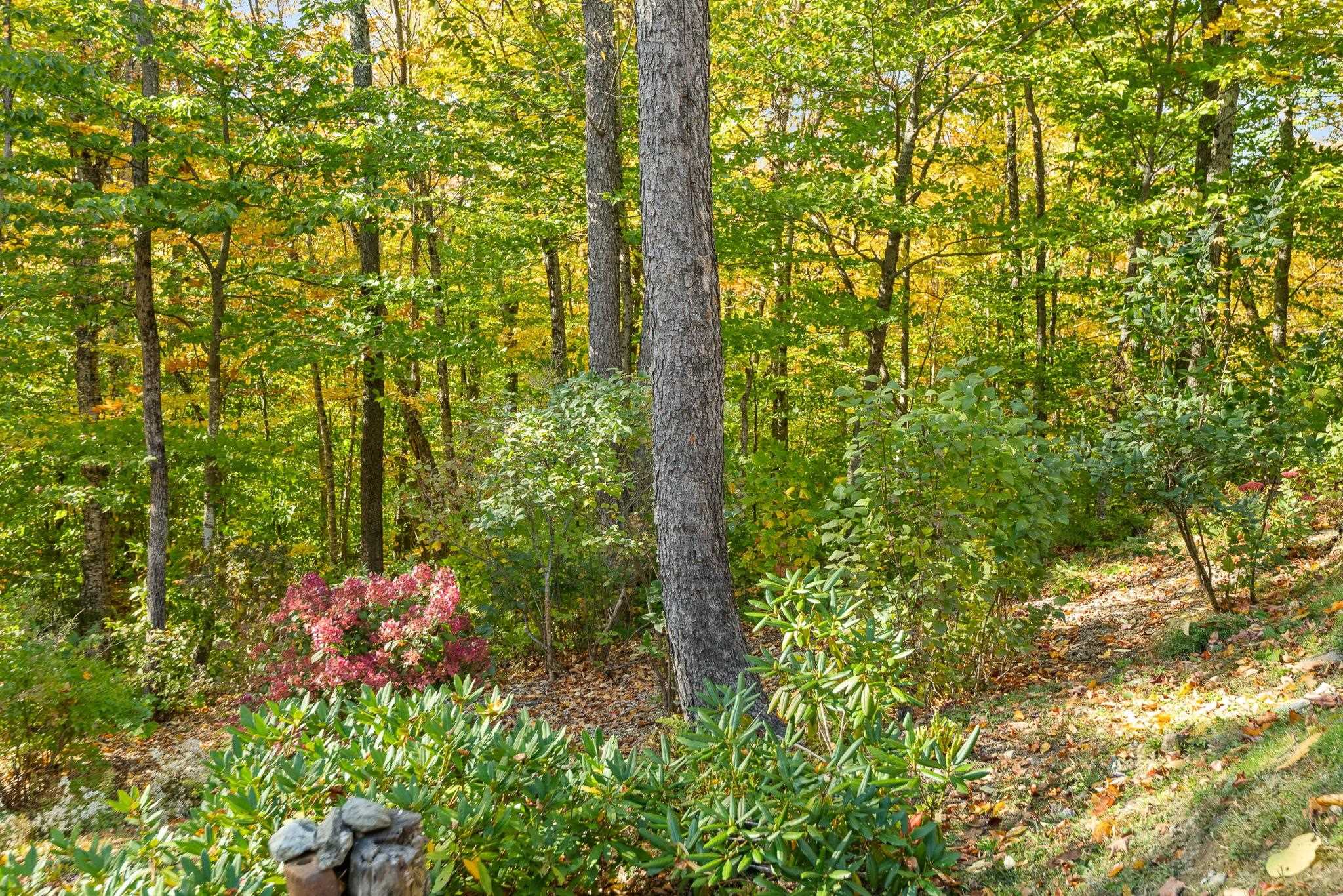 main property photo 56
