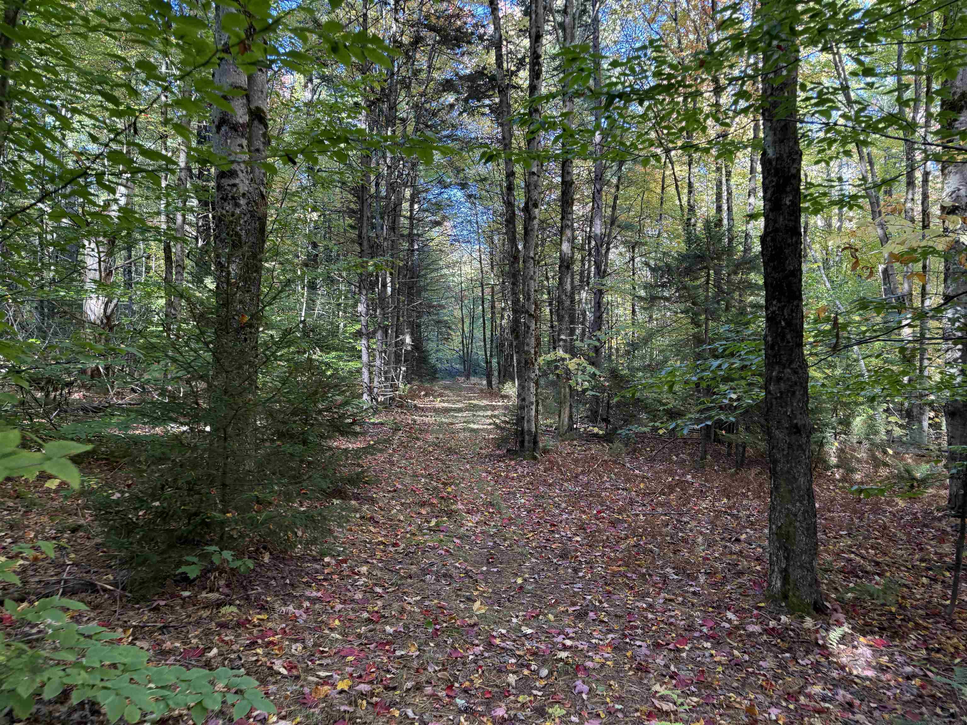 main property photo 48