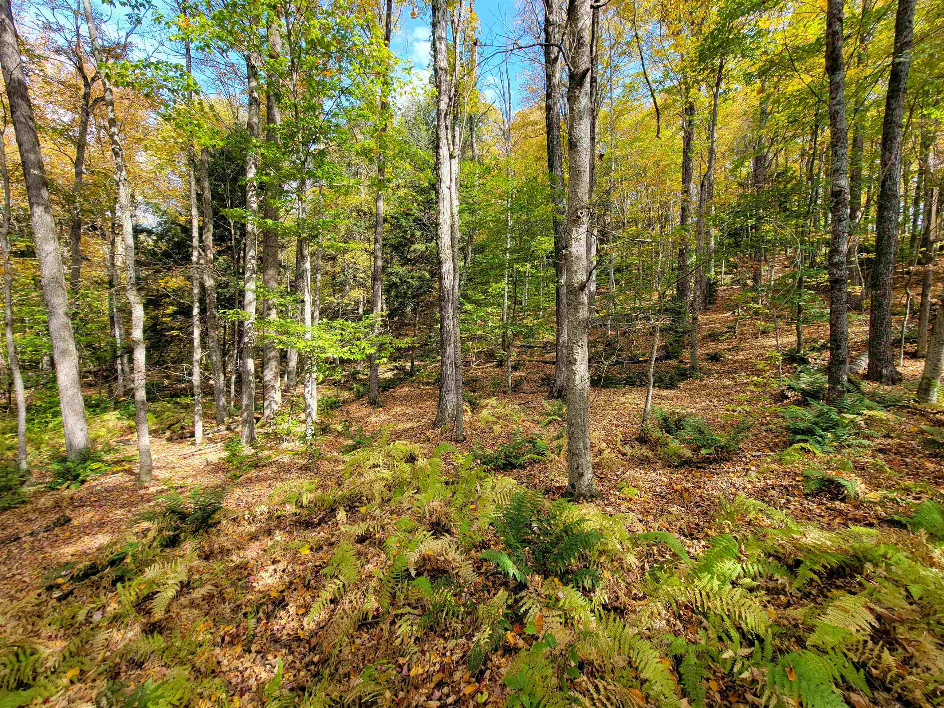 main property photo 16