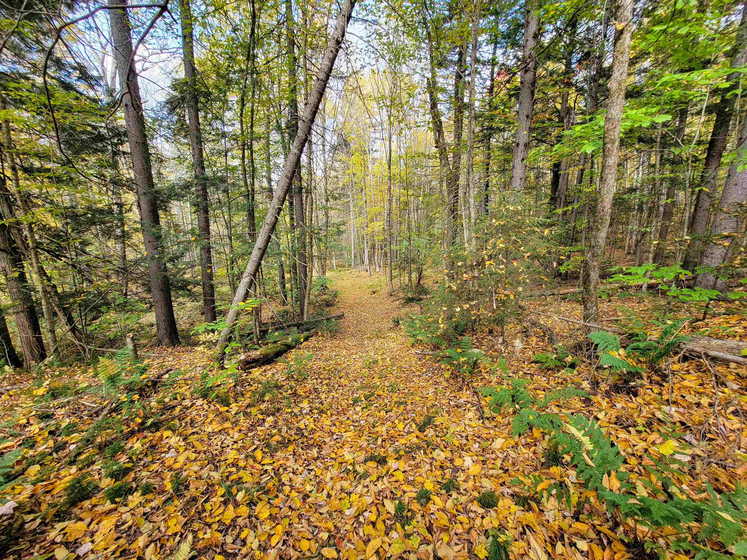 main property photo 30