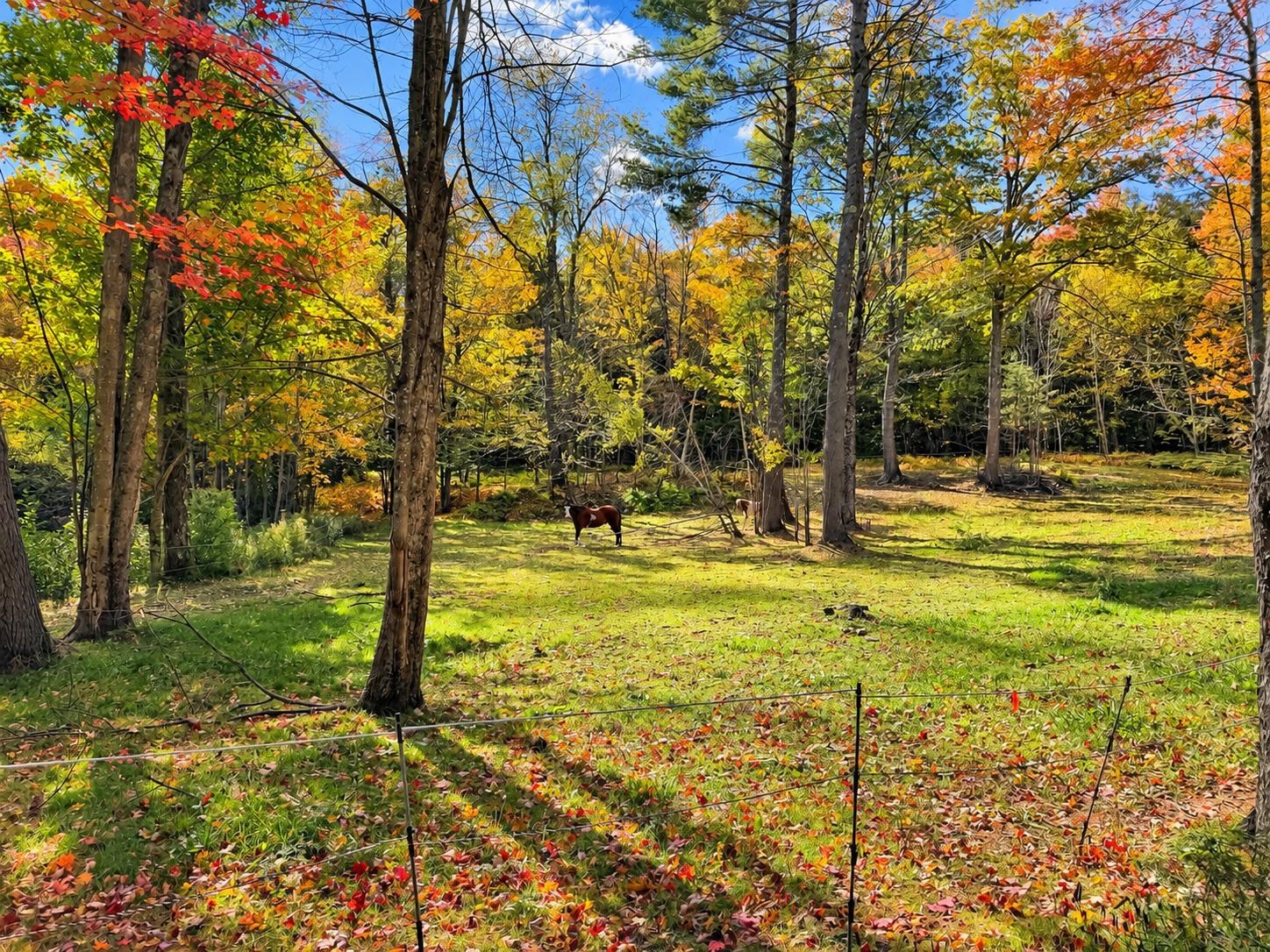 main property photo 44