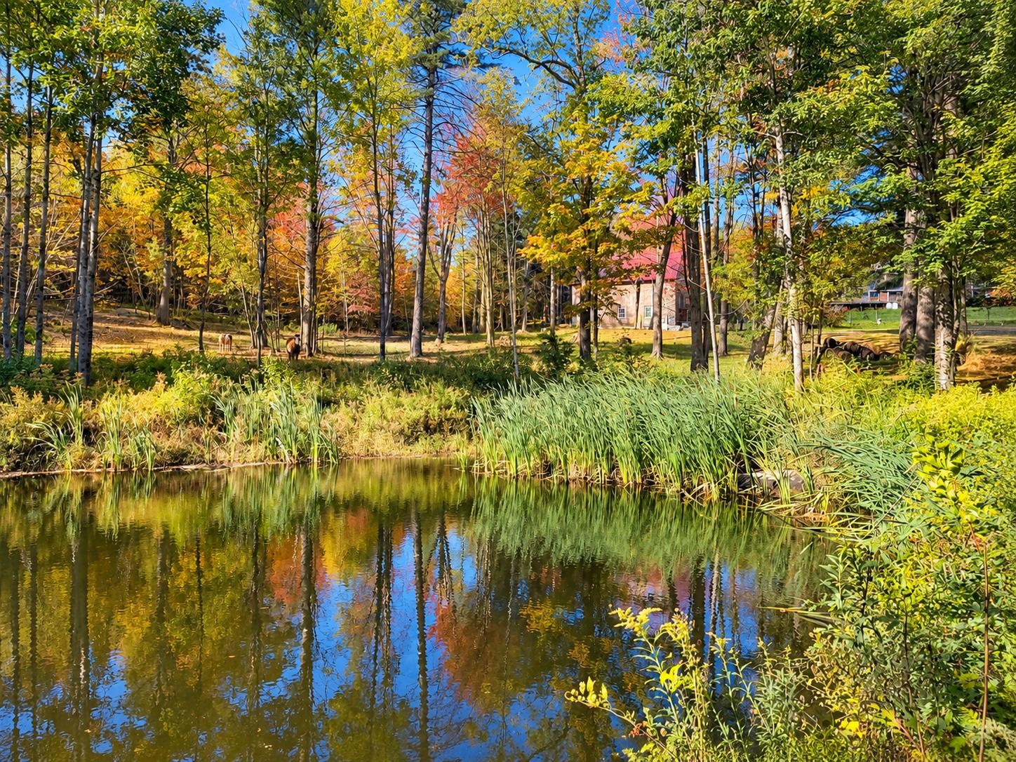 main property photo 45