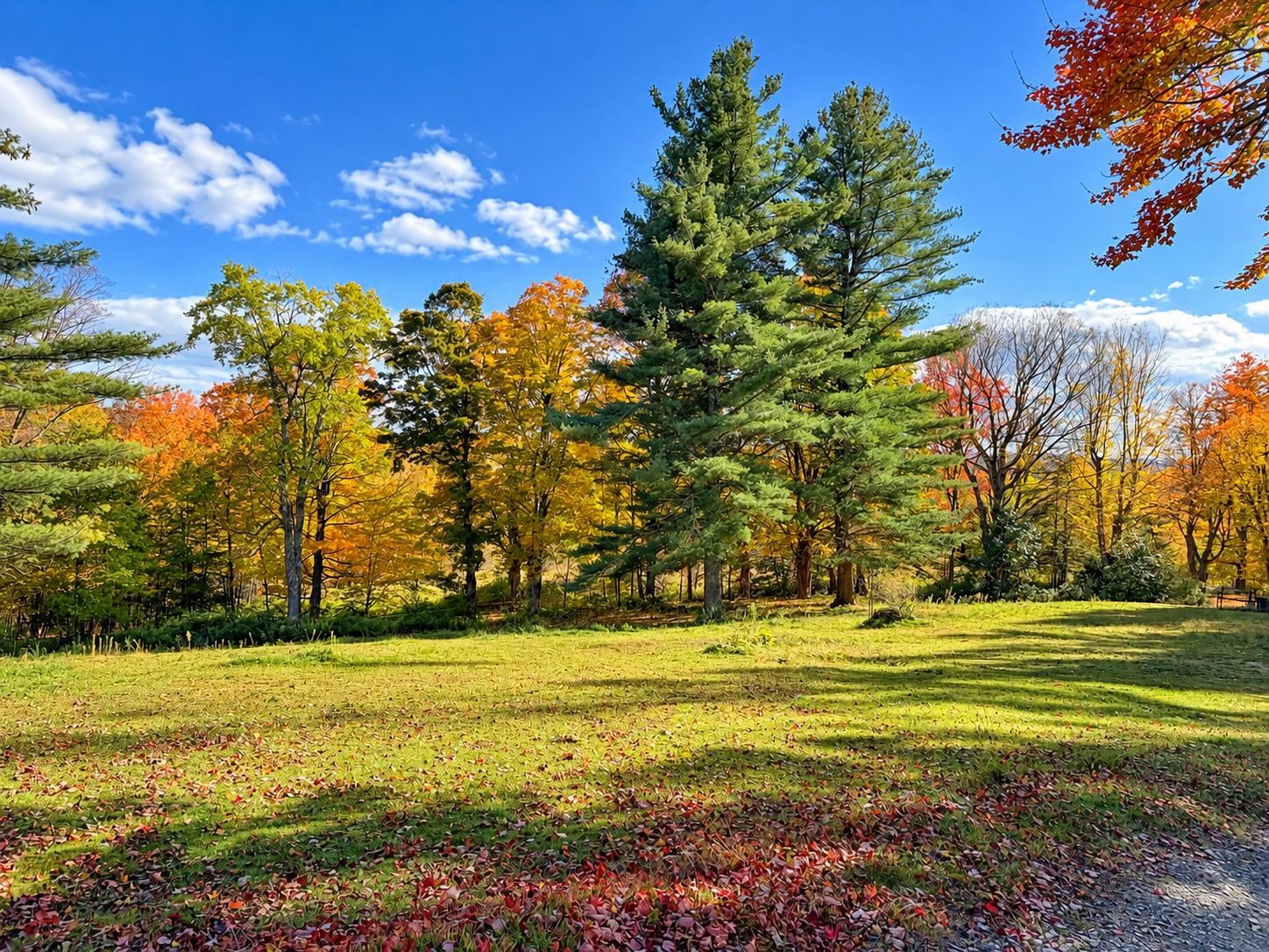 main property photo 57
