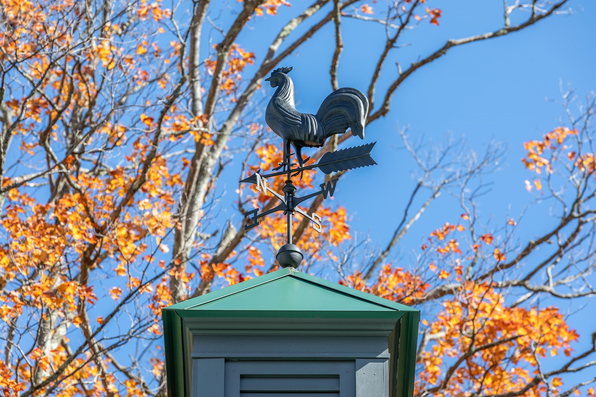 main property photo 39