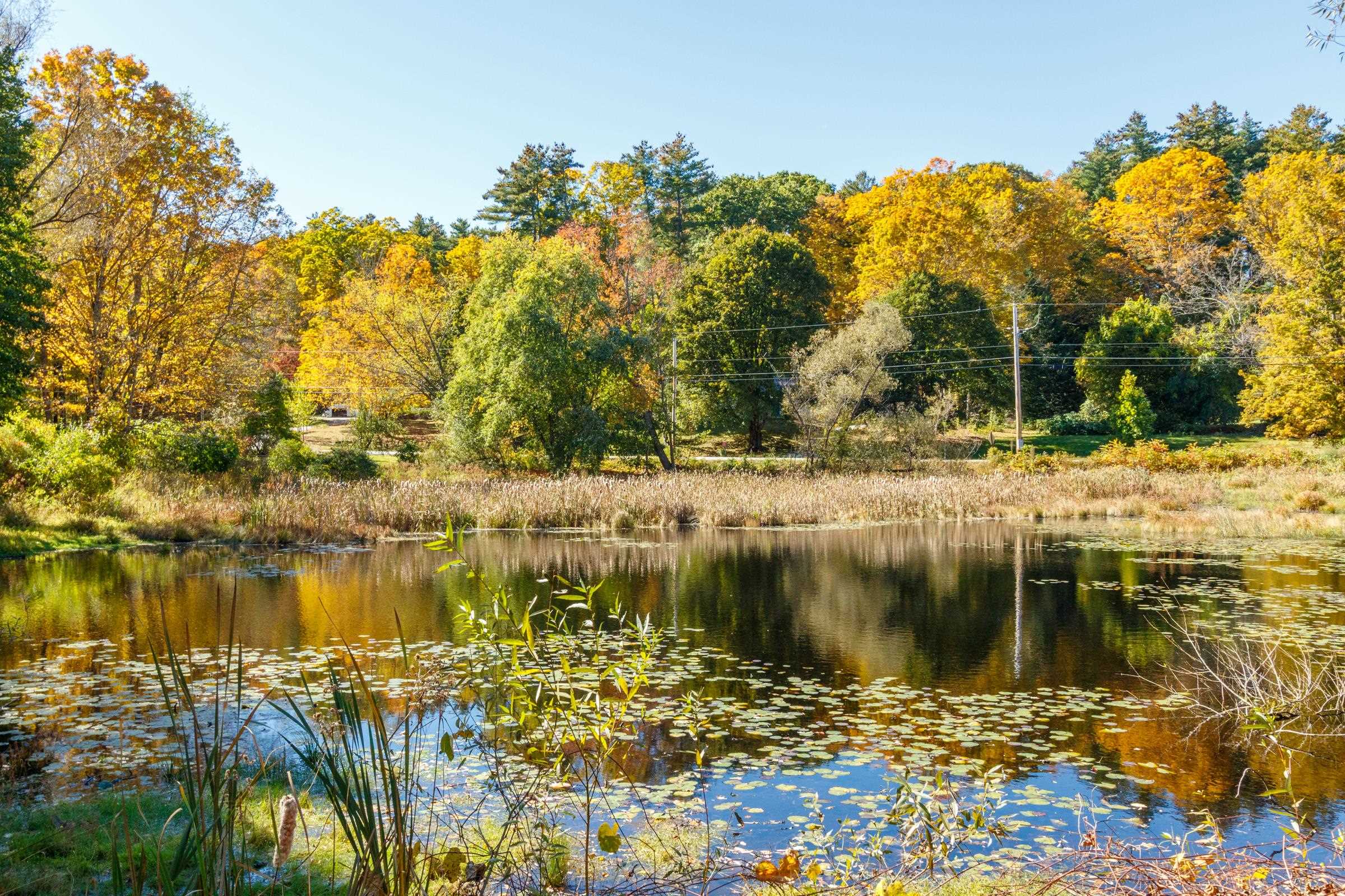 main property photo 34