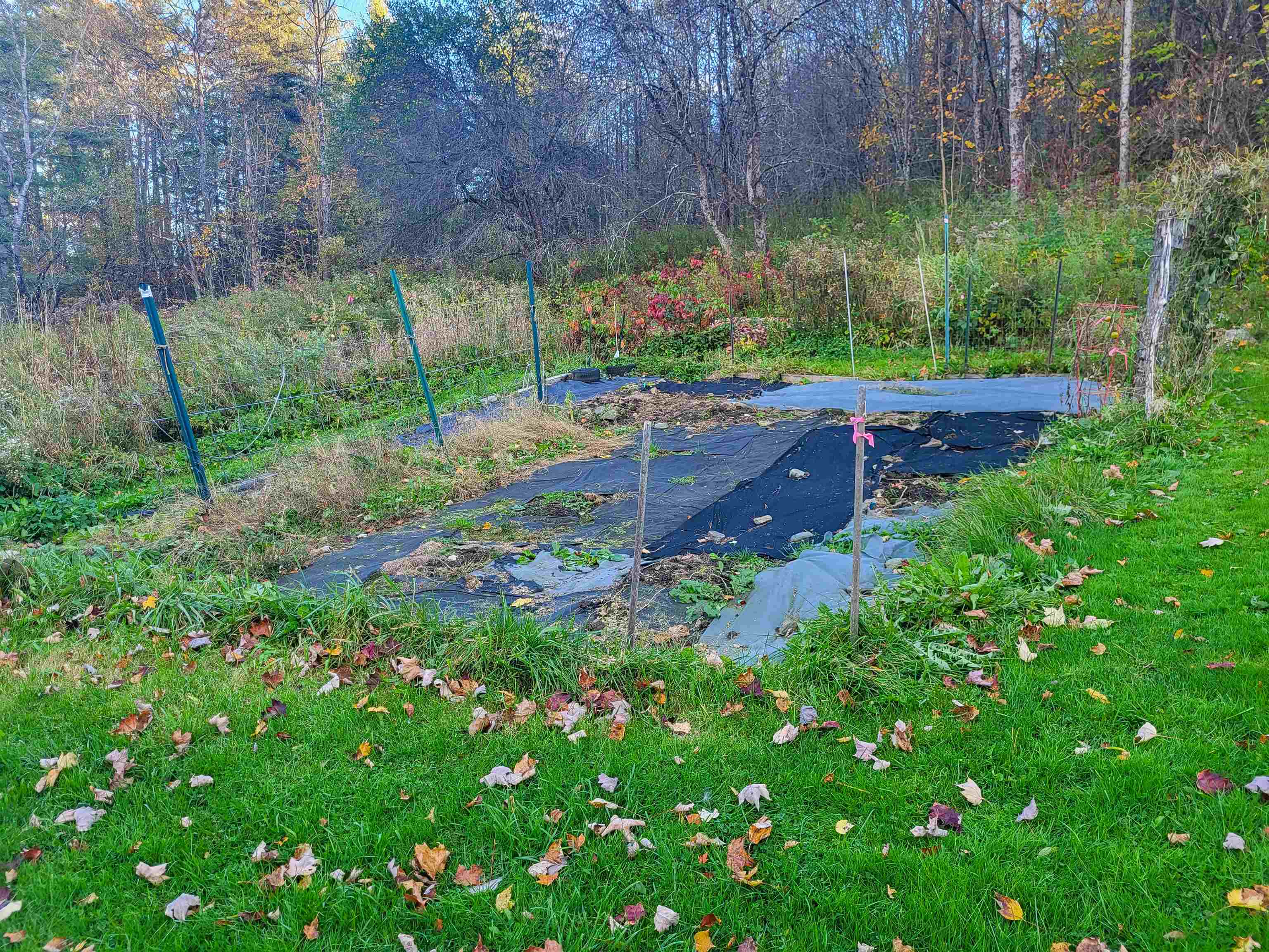 main property photo 11
