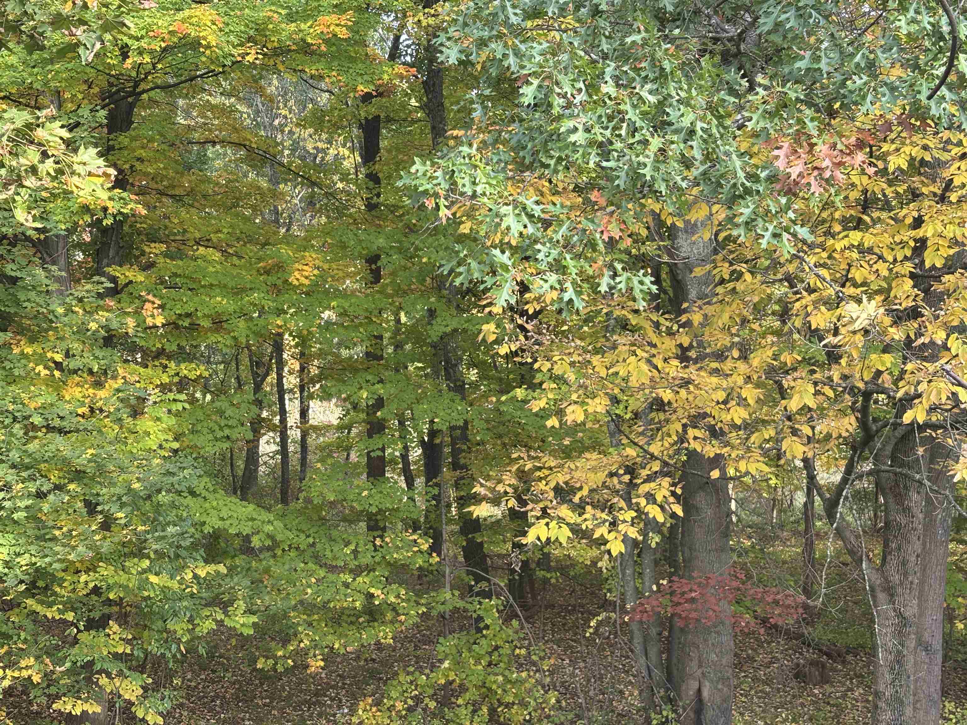 main property photo 17