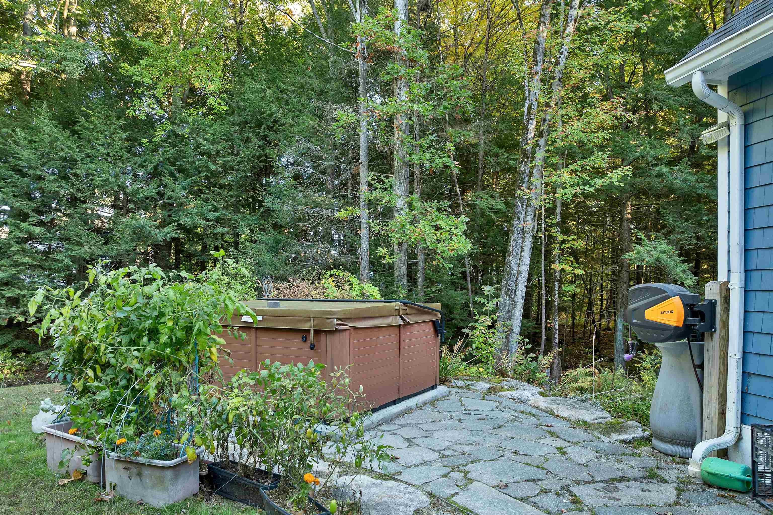 main property photo 43