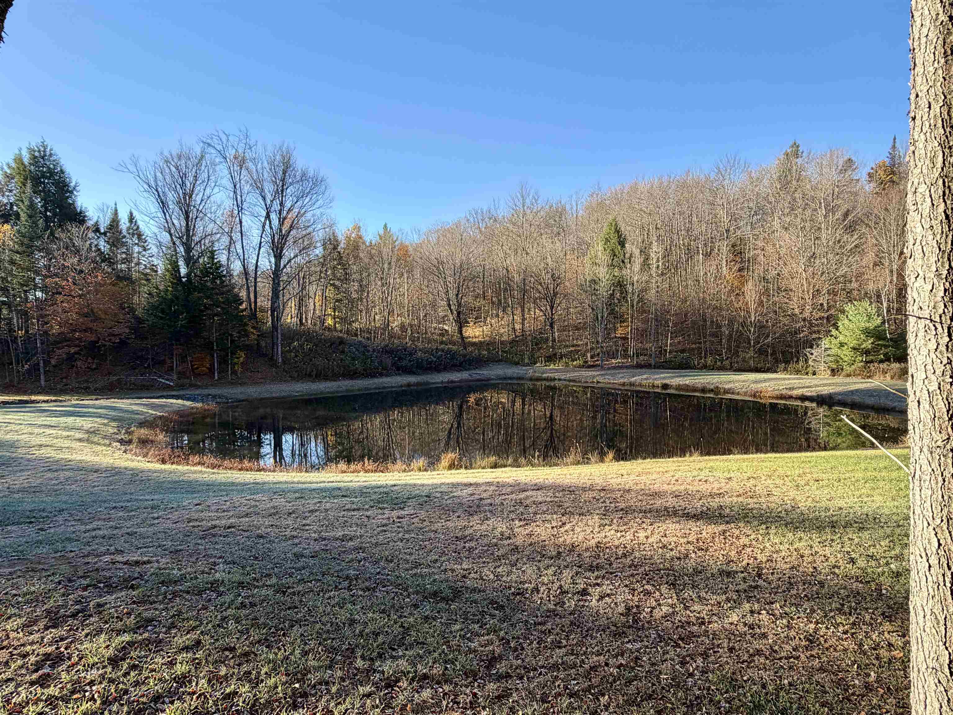 main property photo 52