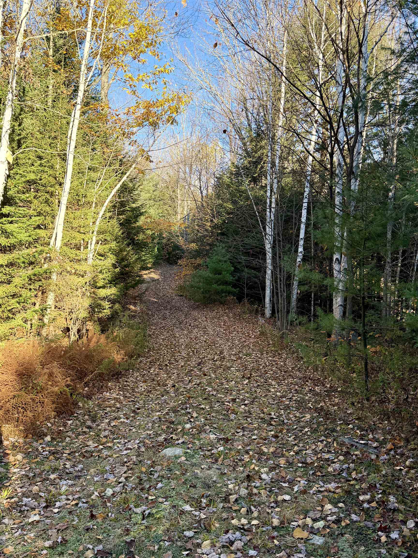 main property photo 54