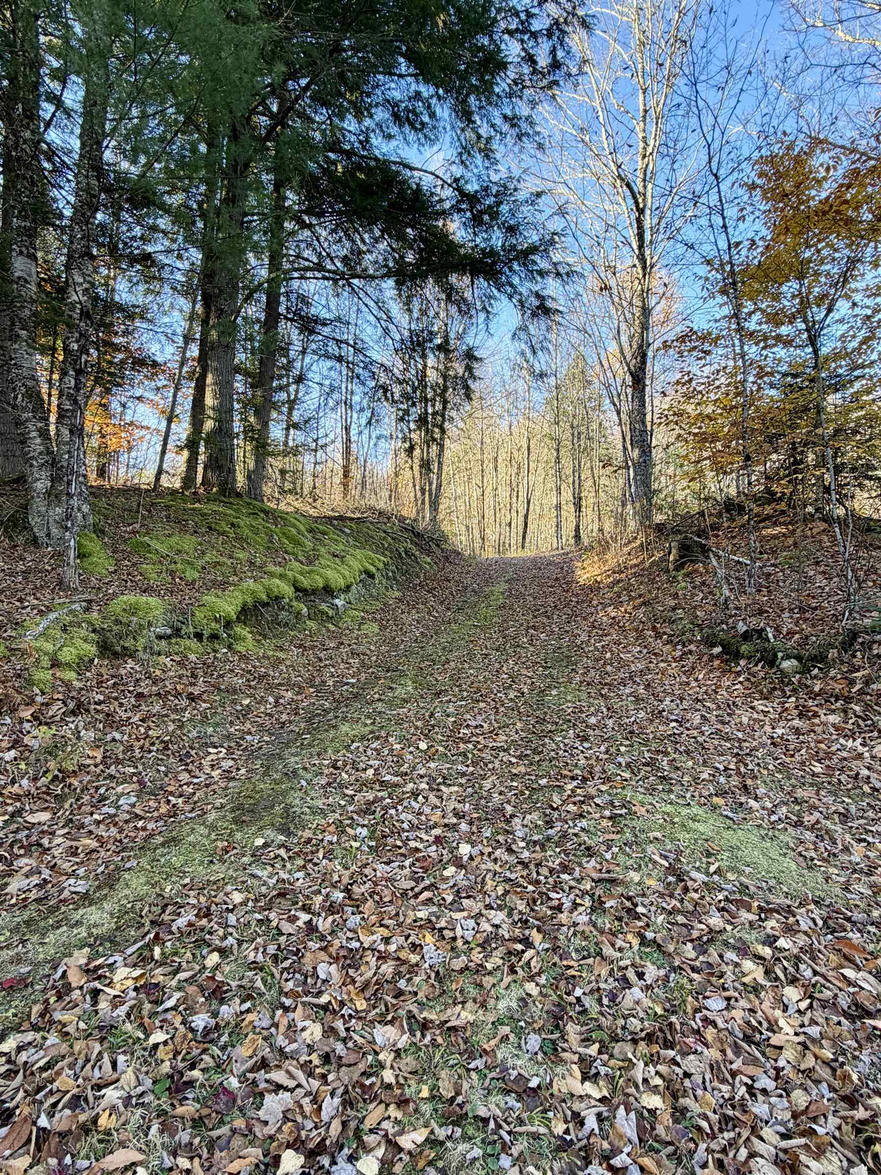 main property photo 59