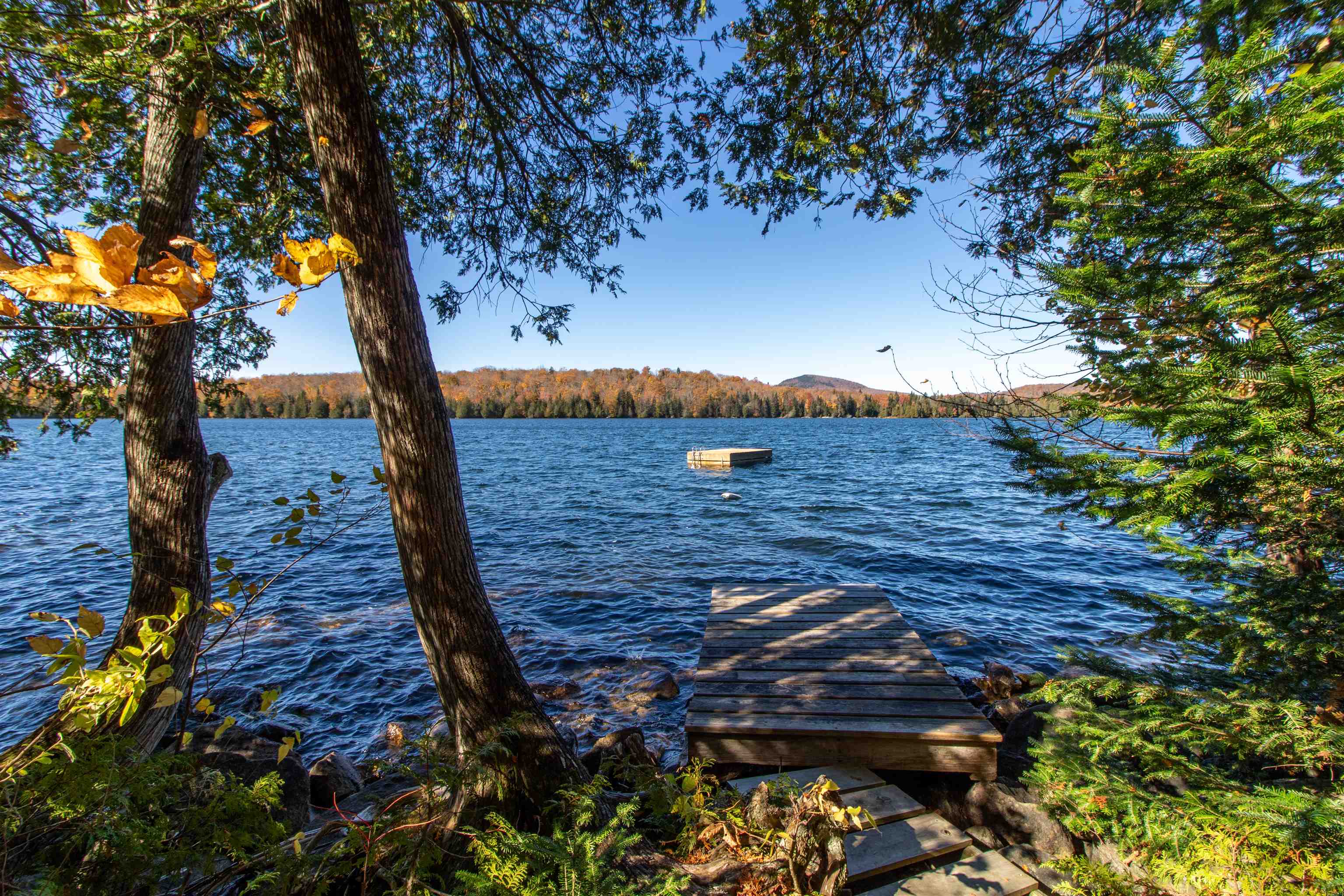 main property photo 42