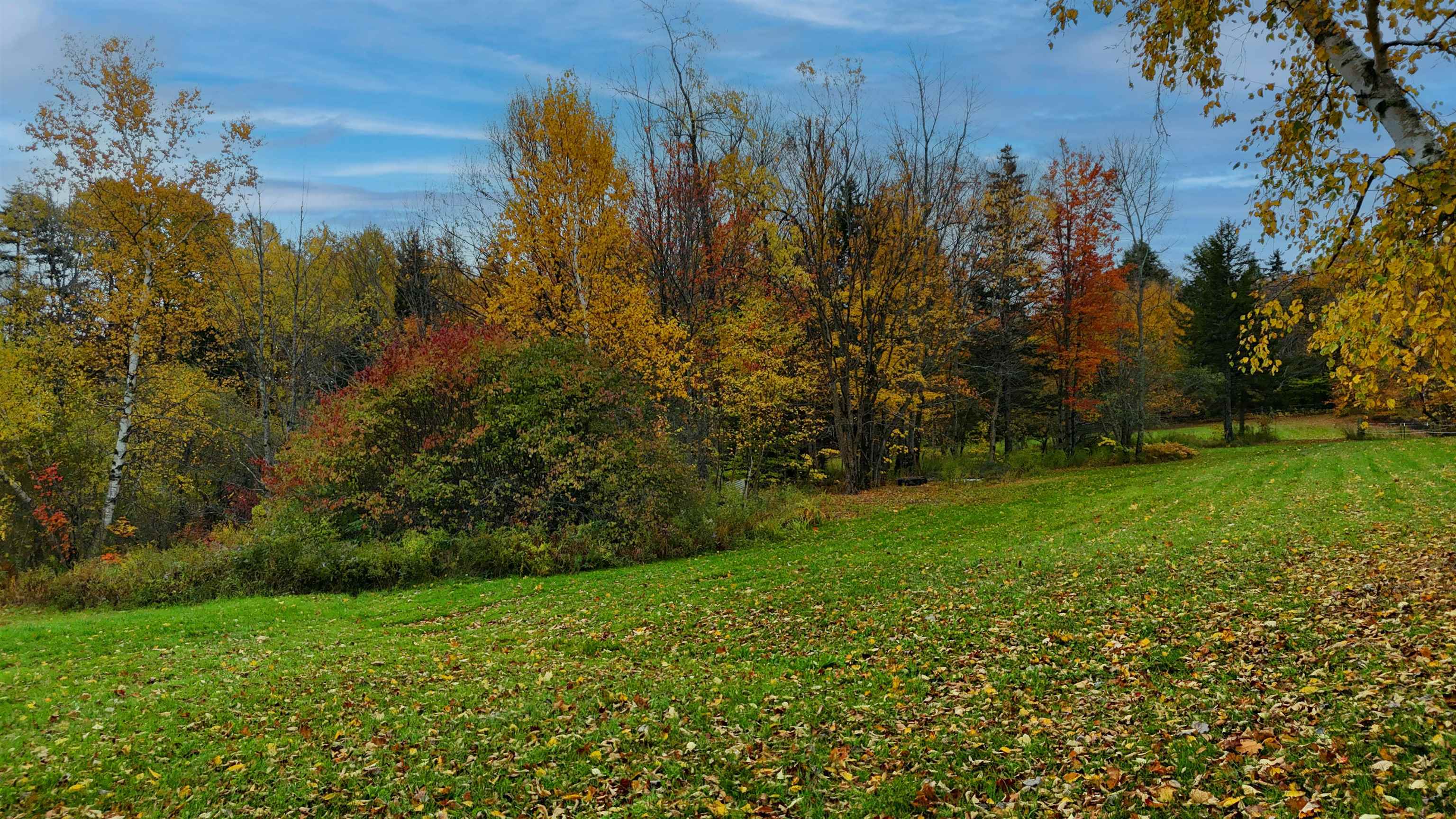 main property photo 38