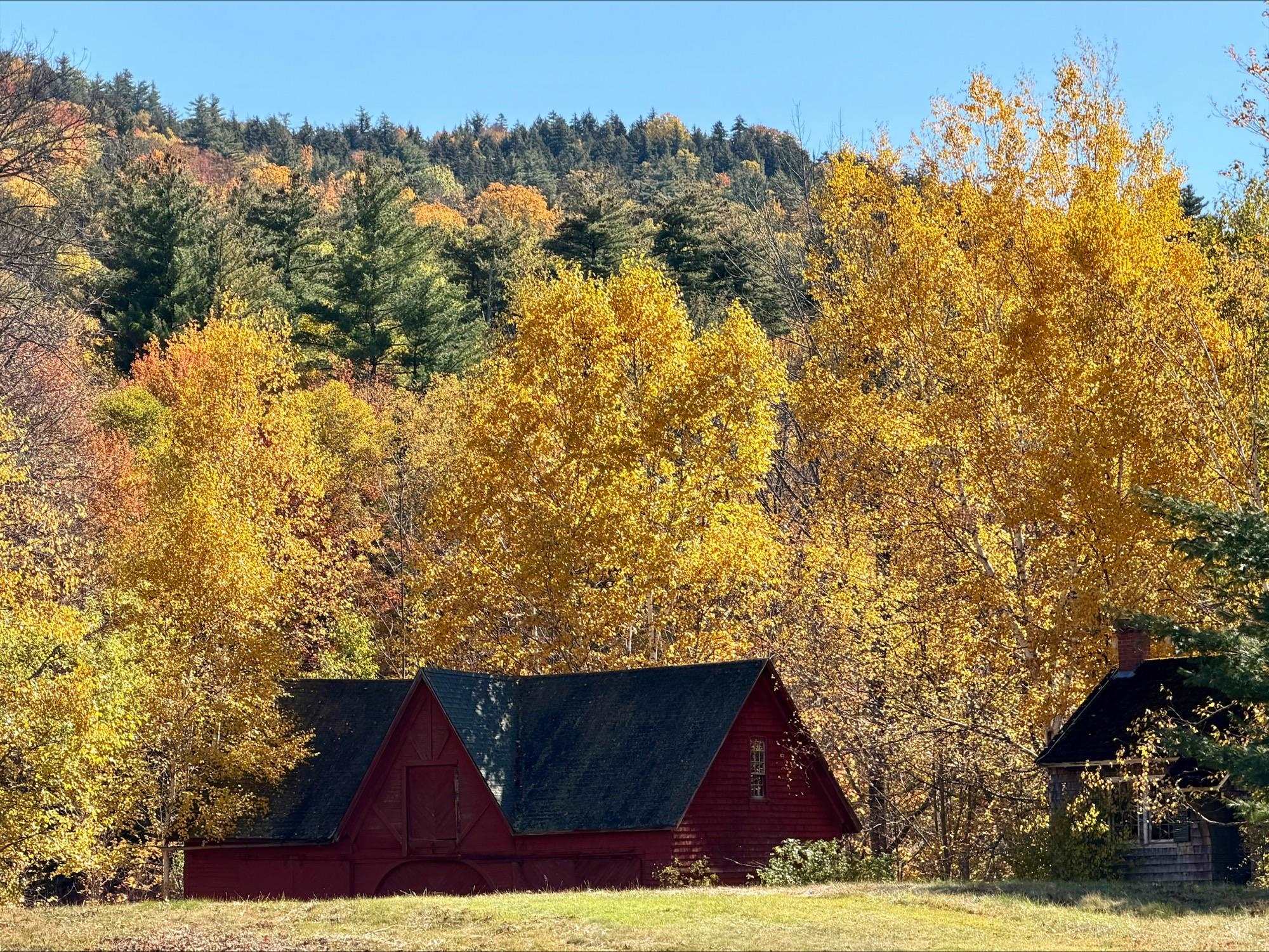 main property photo 6