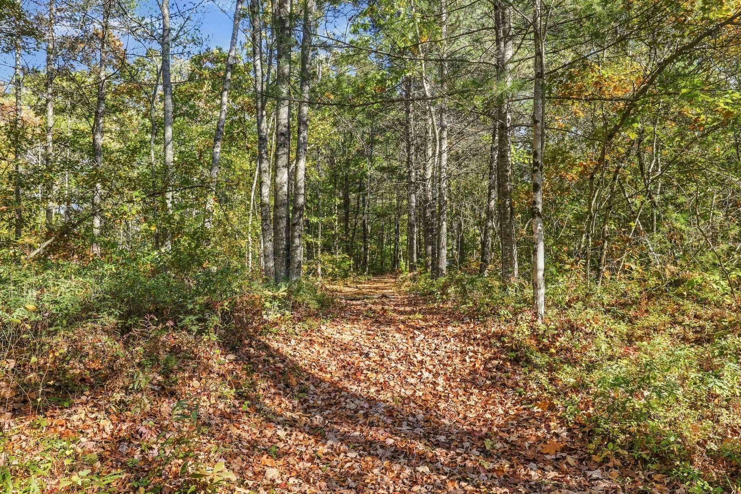 main property photo 51
