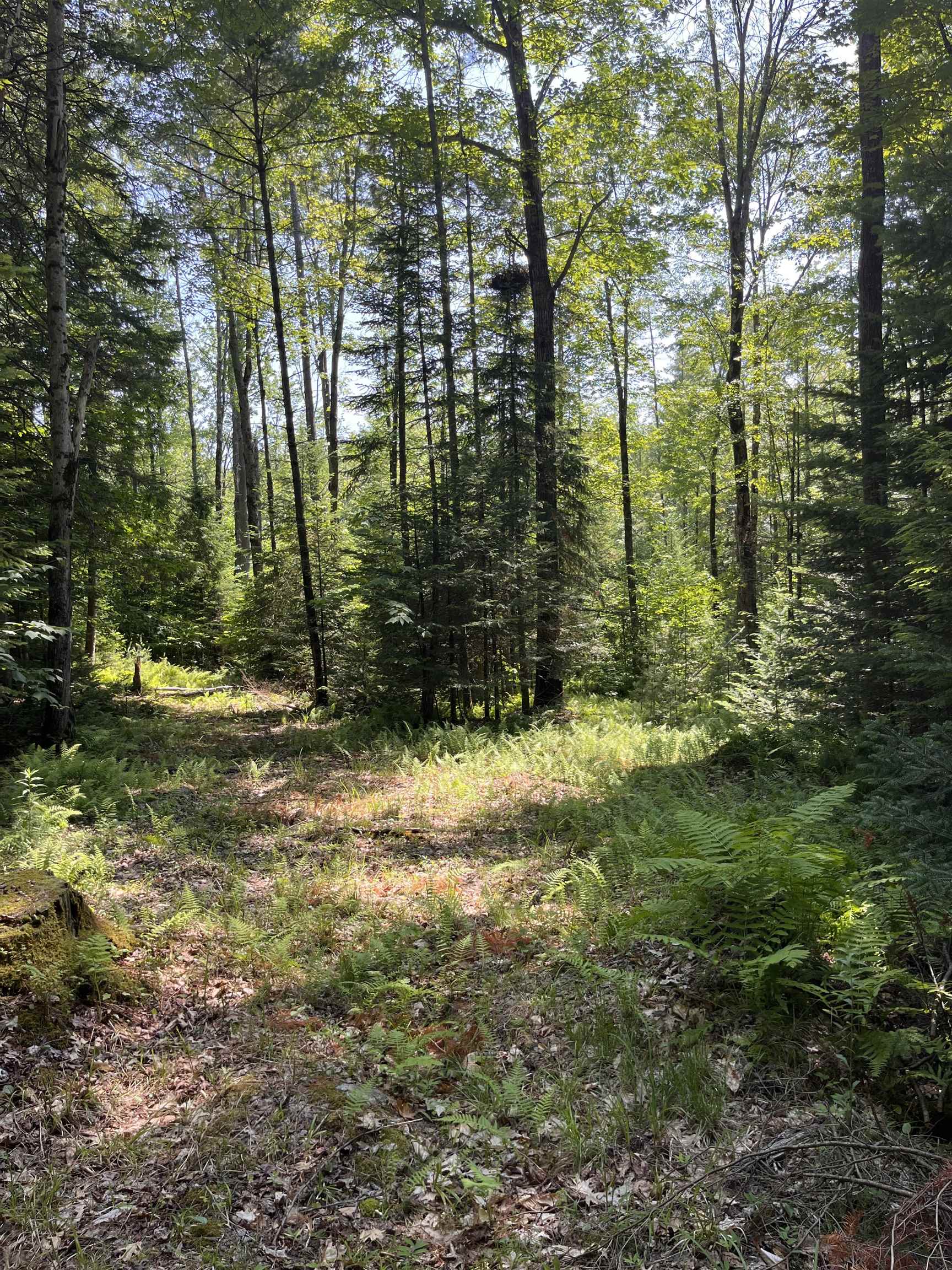main property photo 16