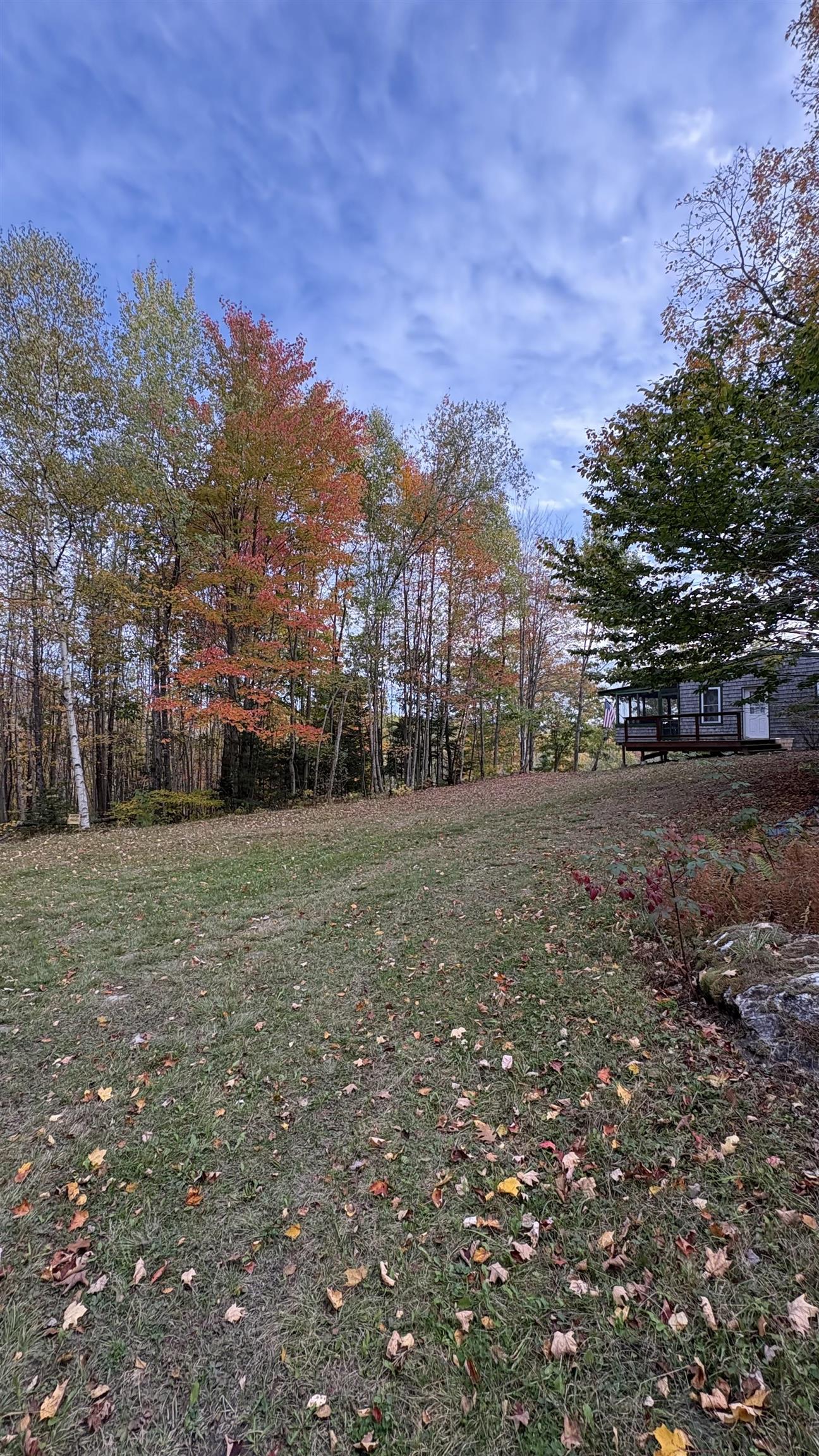 main property photo 18