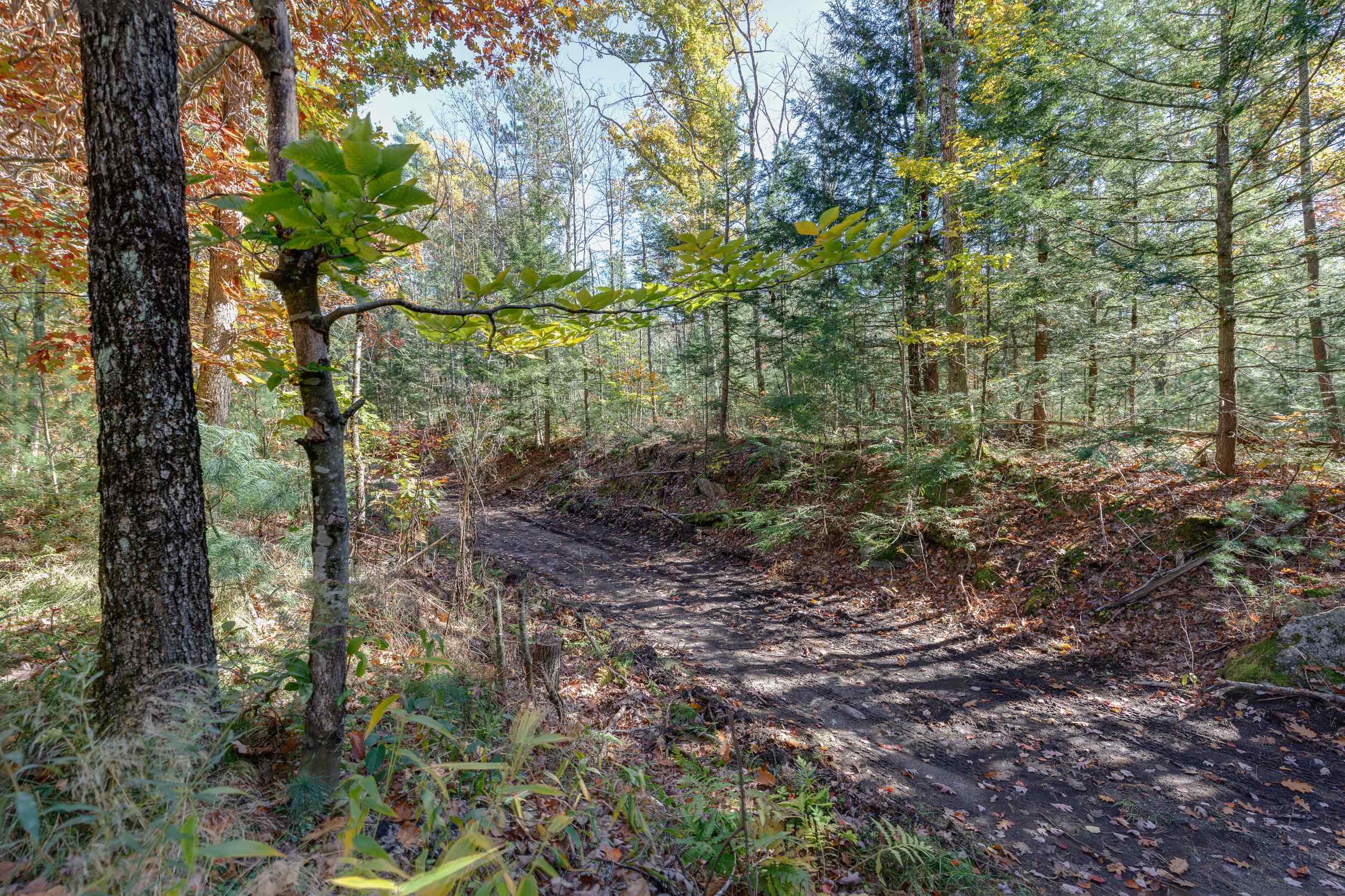 main property photo 55