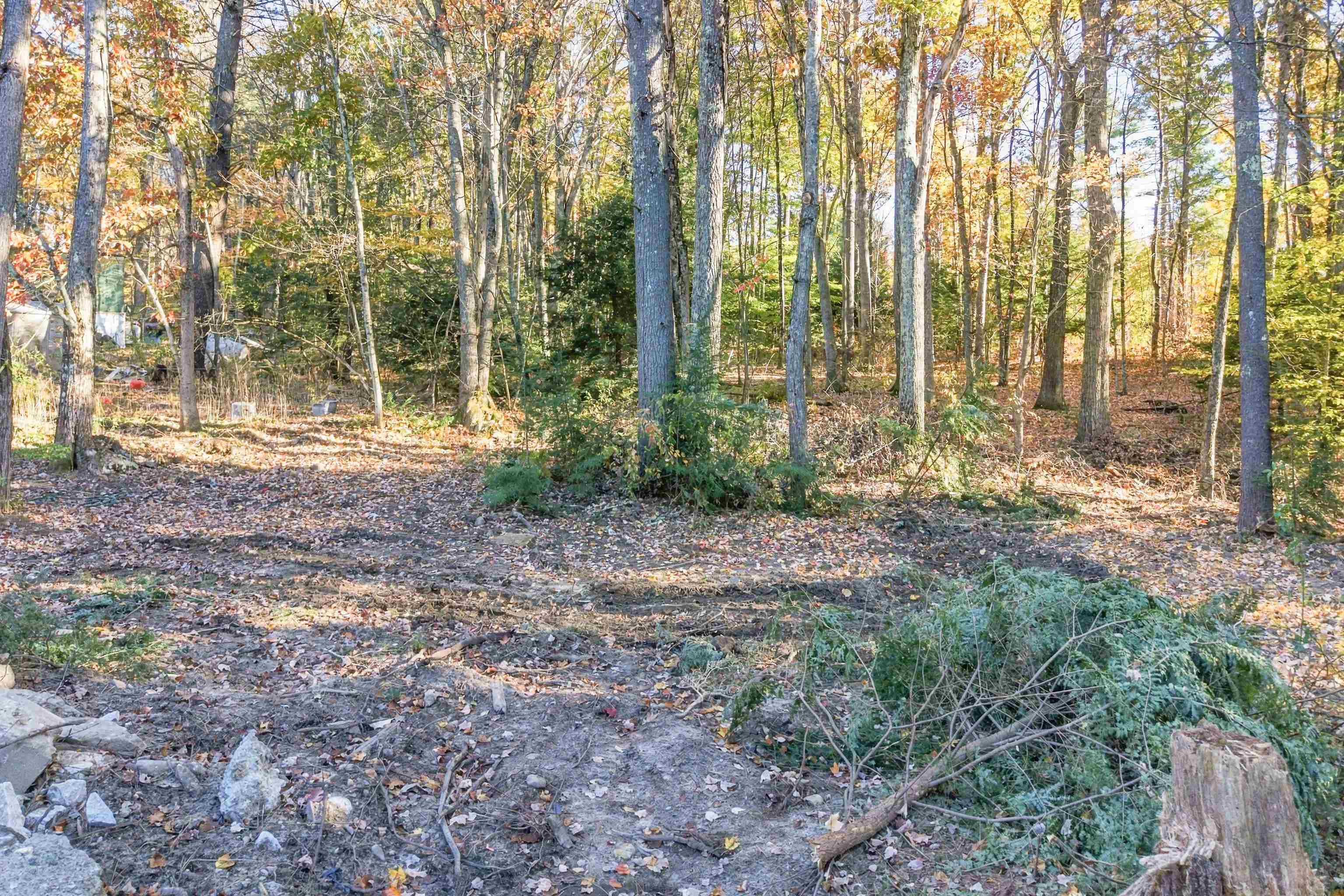 main property photo 31