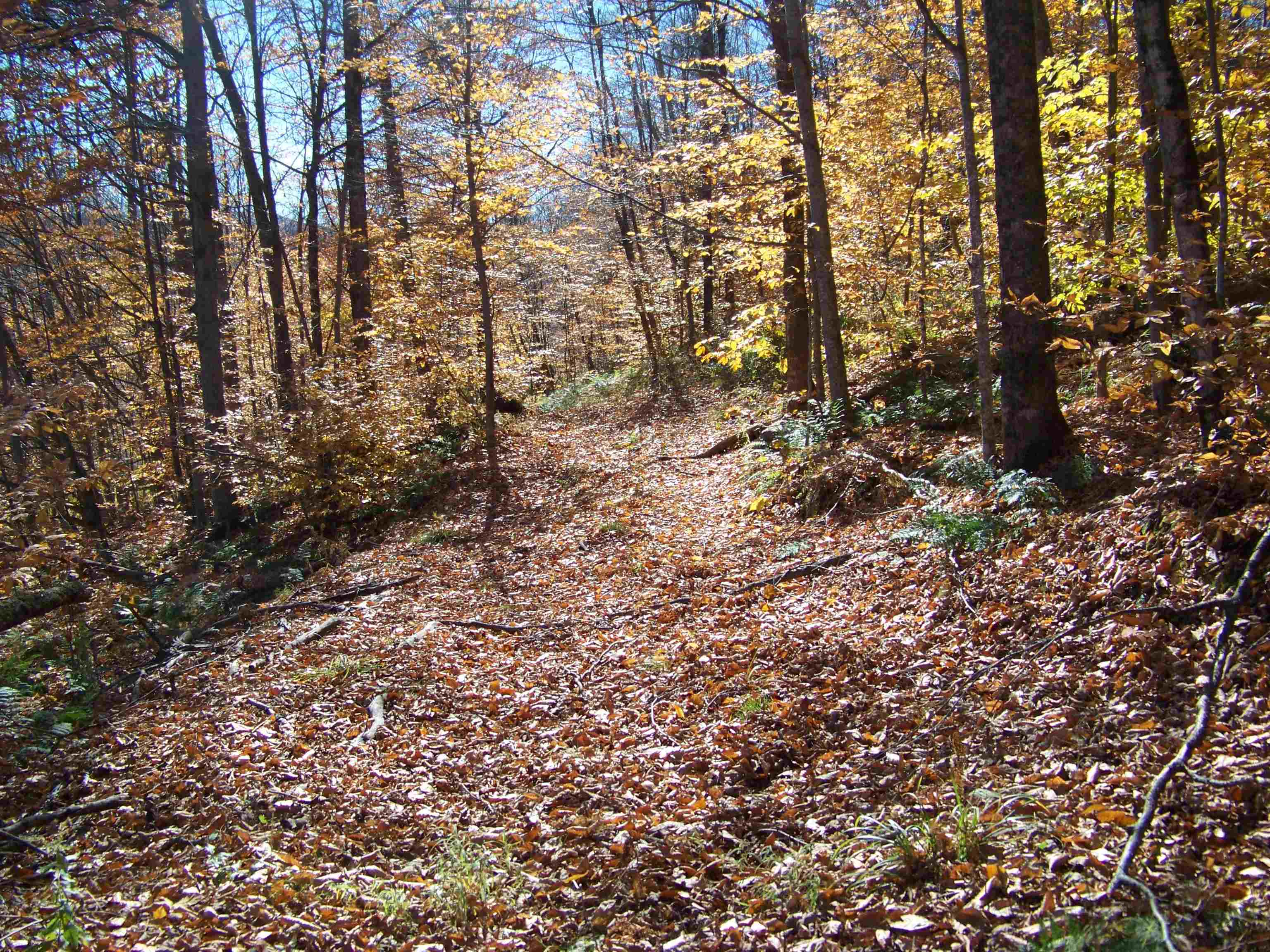 main property photo 18