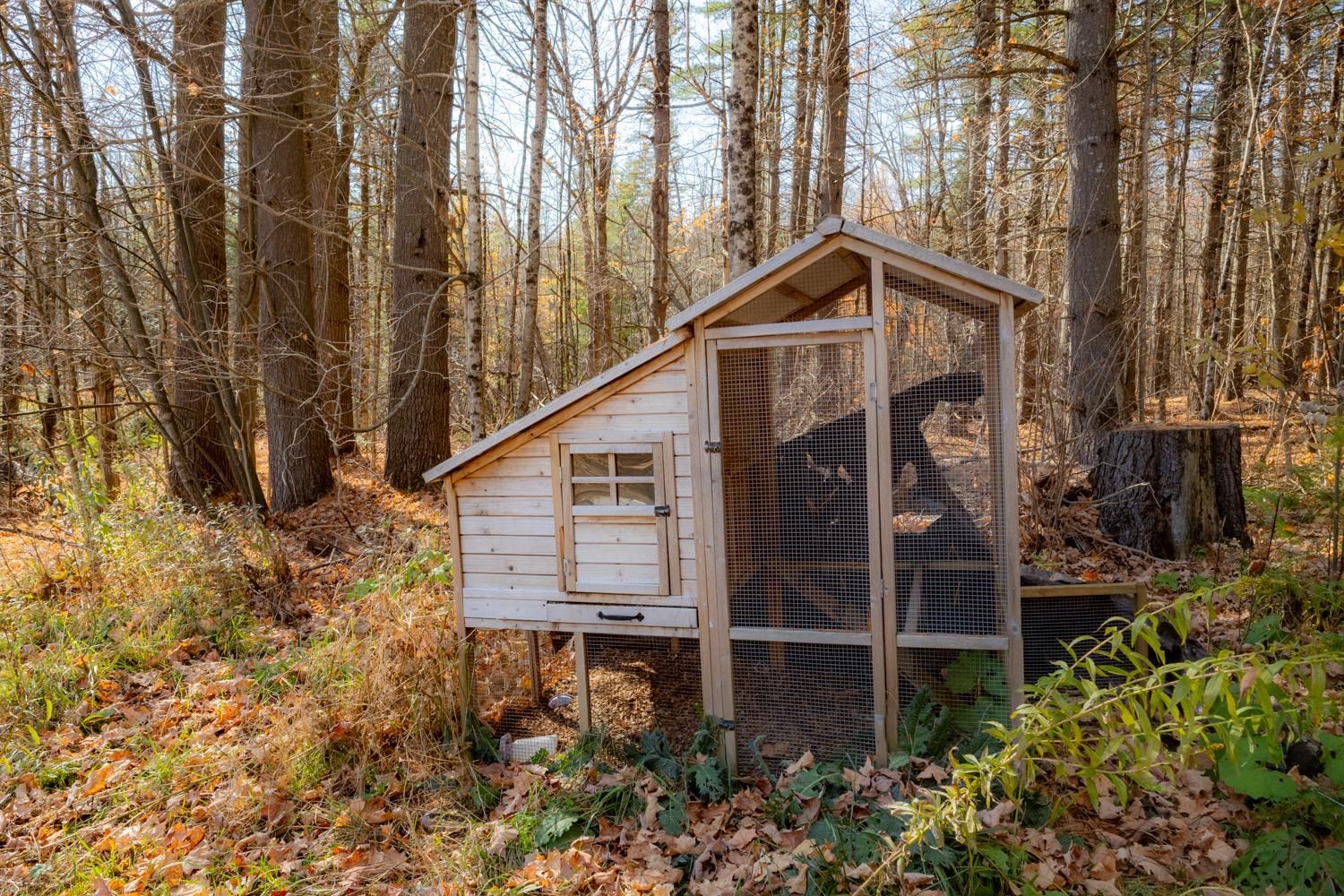 main property photo 30