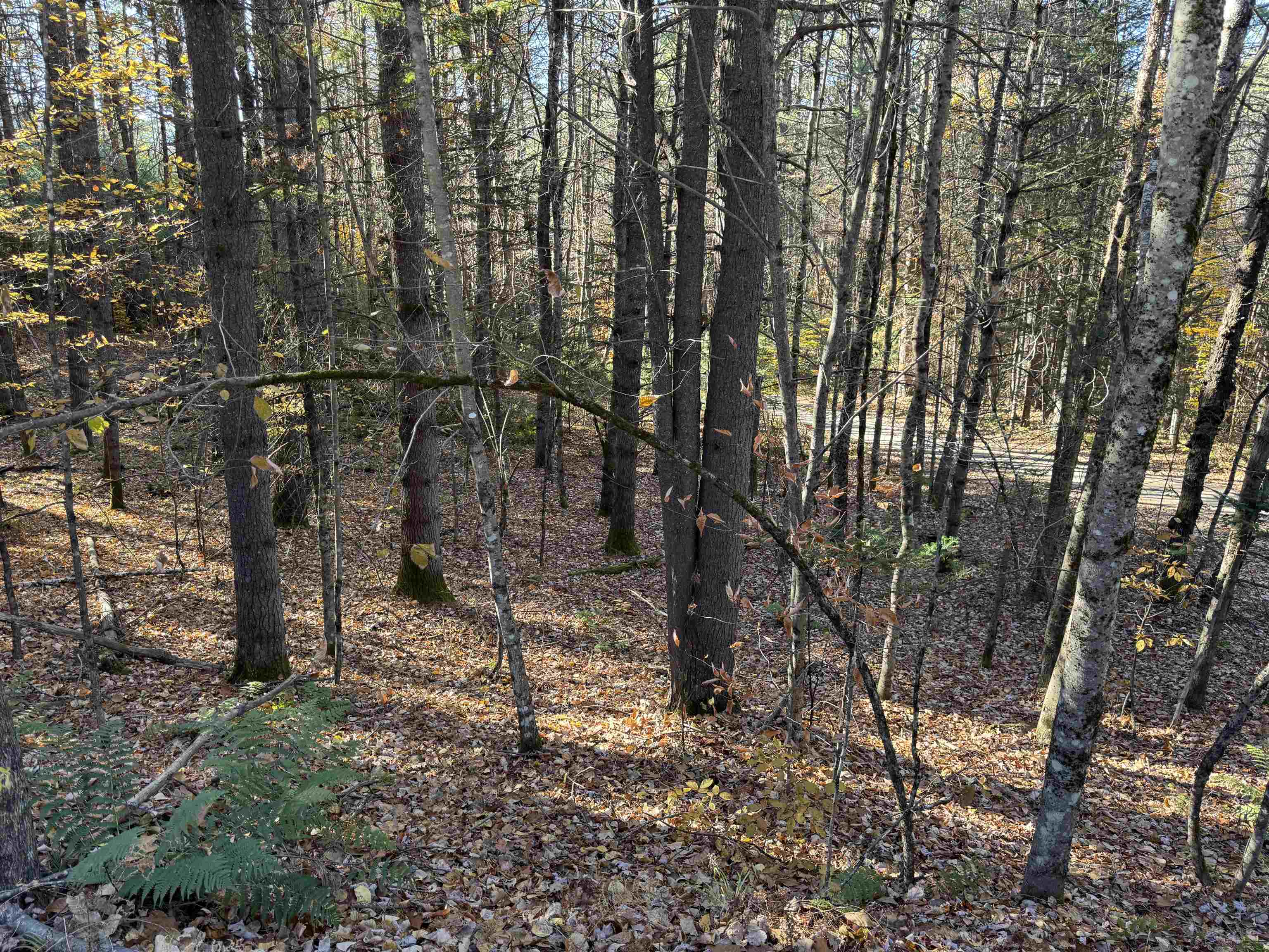 main property photo 10