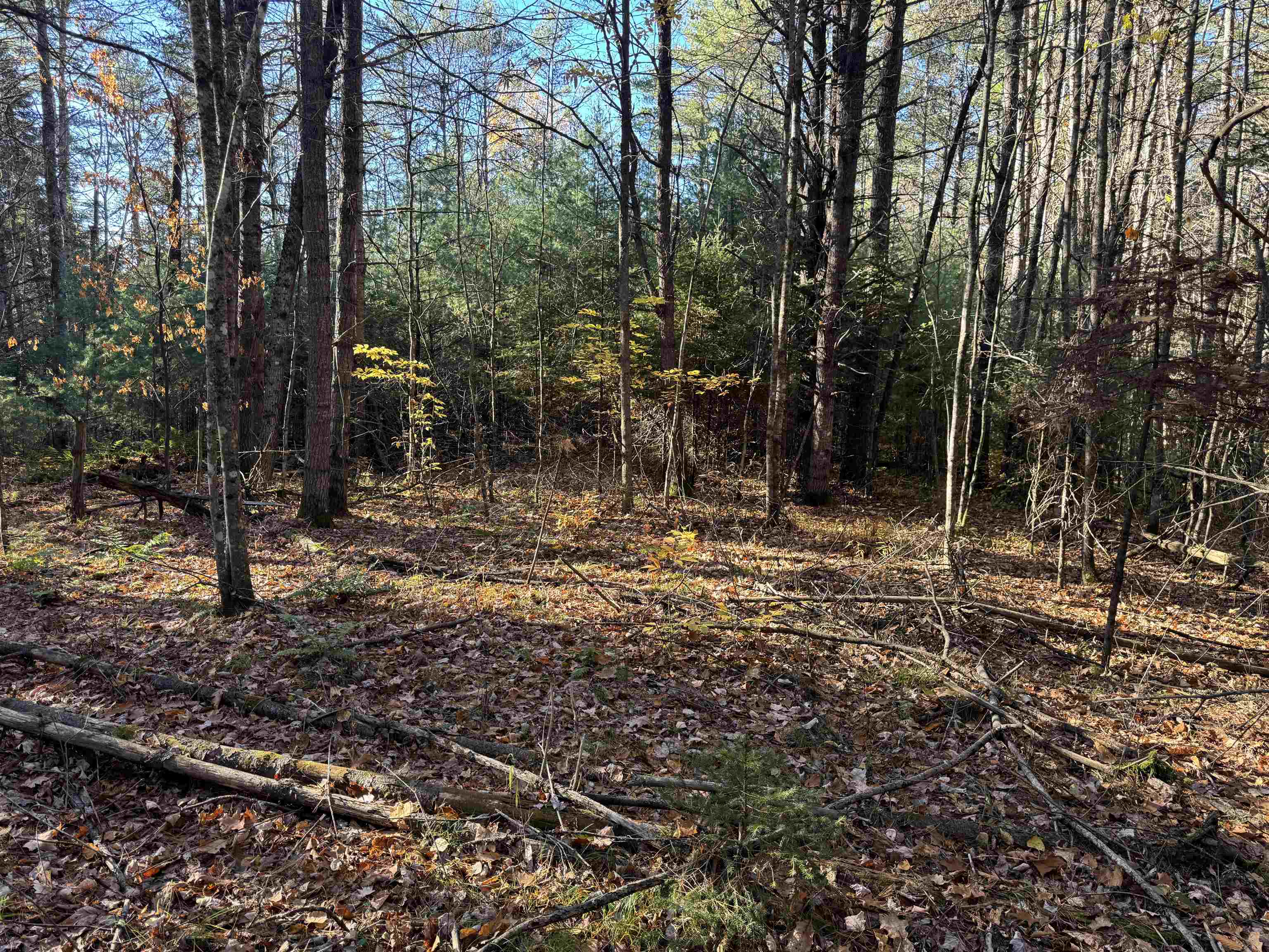 main property photo 11