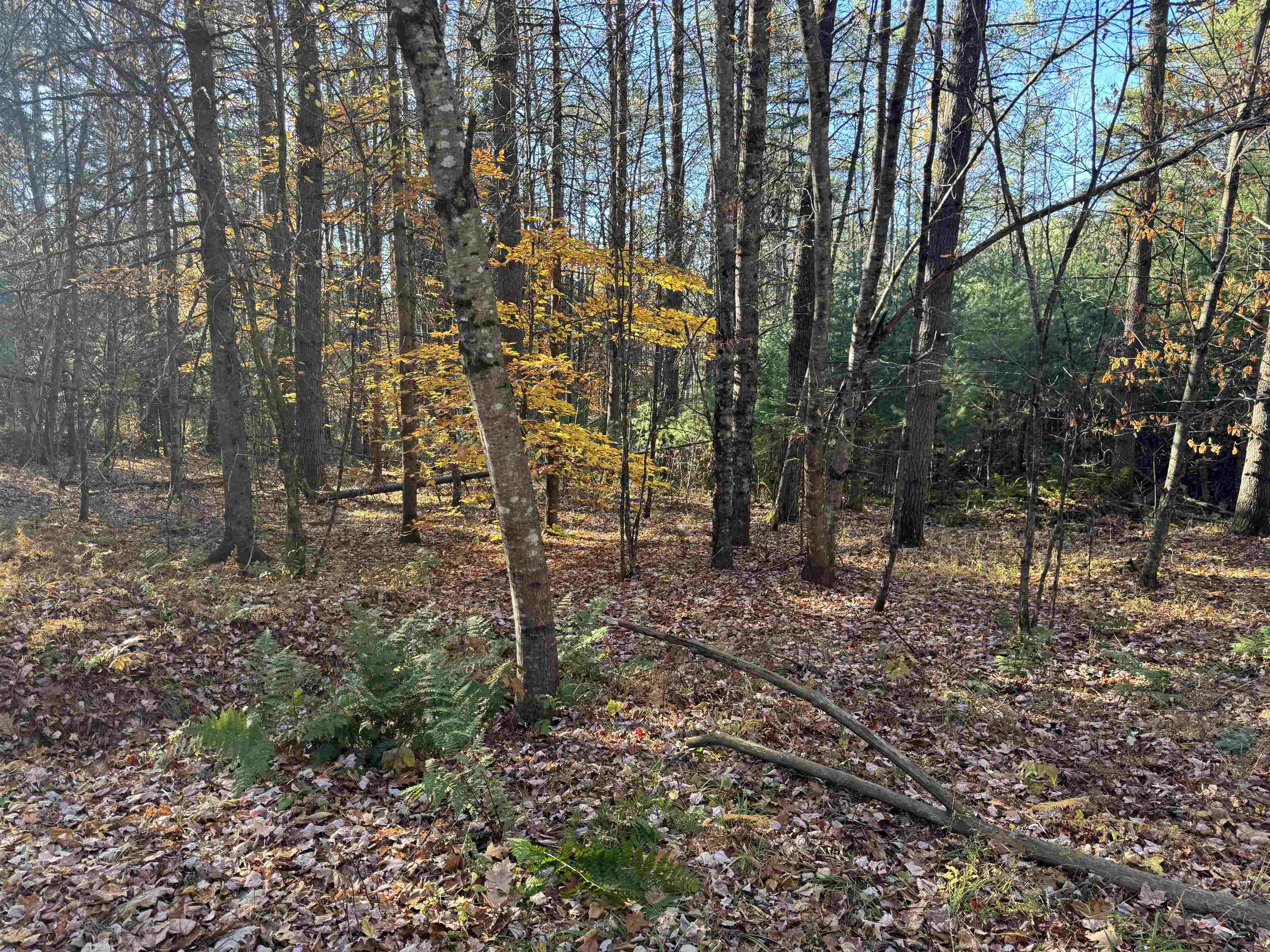 main property photo 12