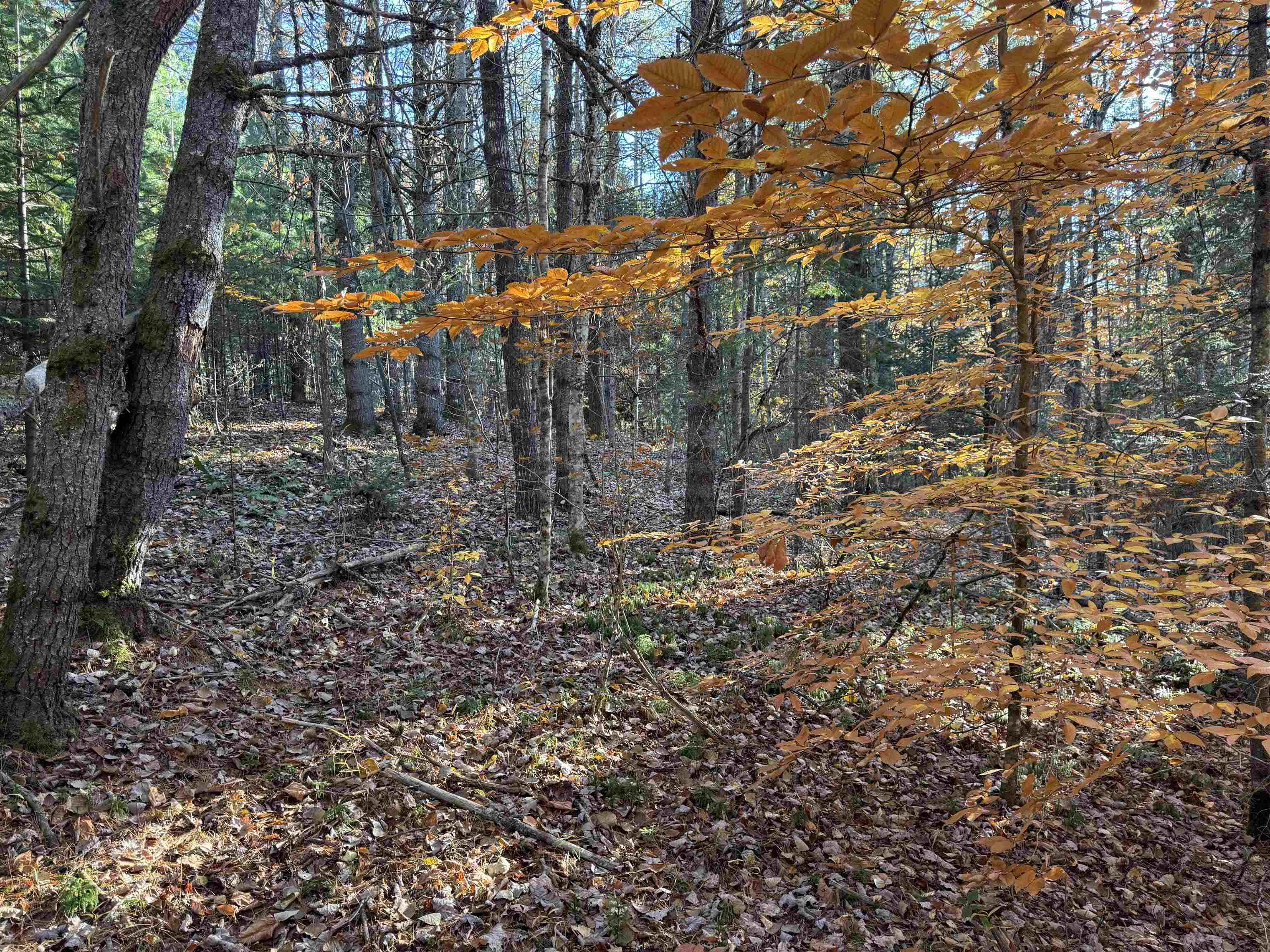 main property photo 17