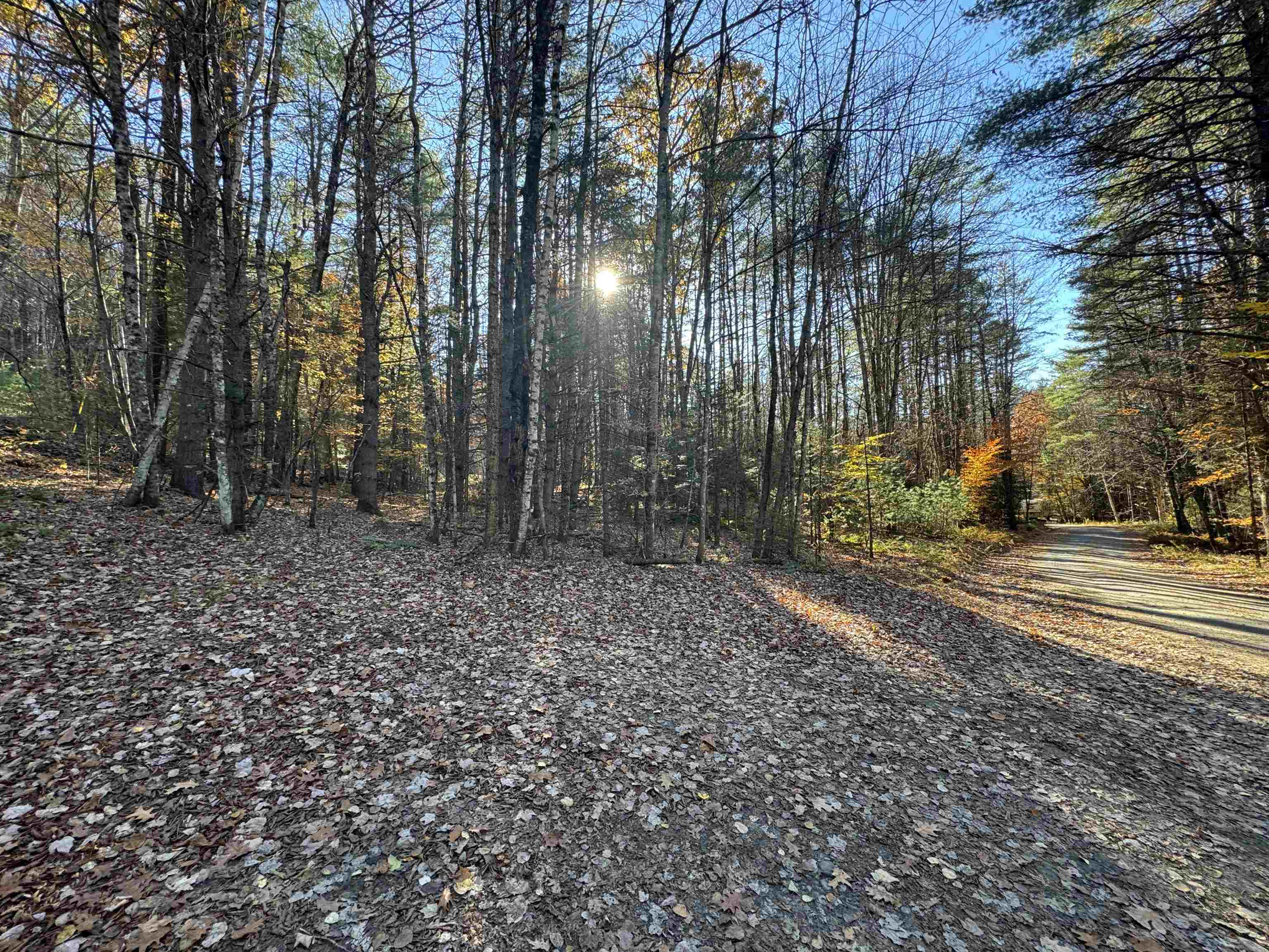 main property photo 18