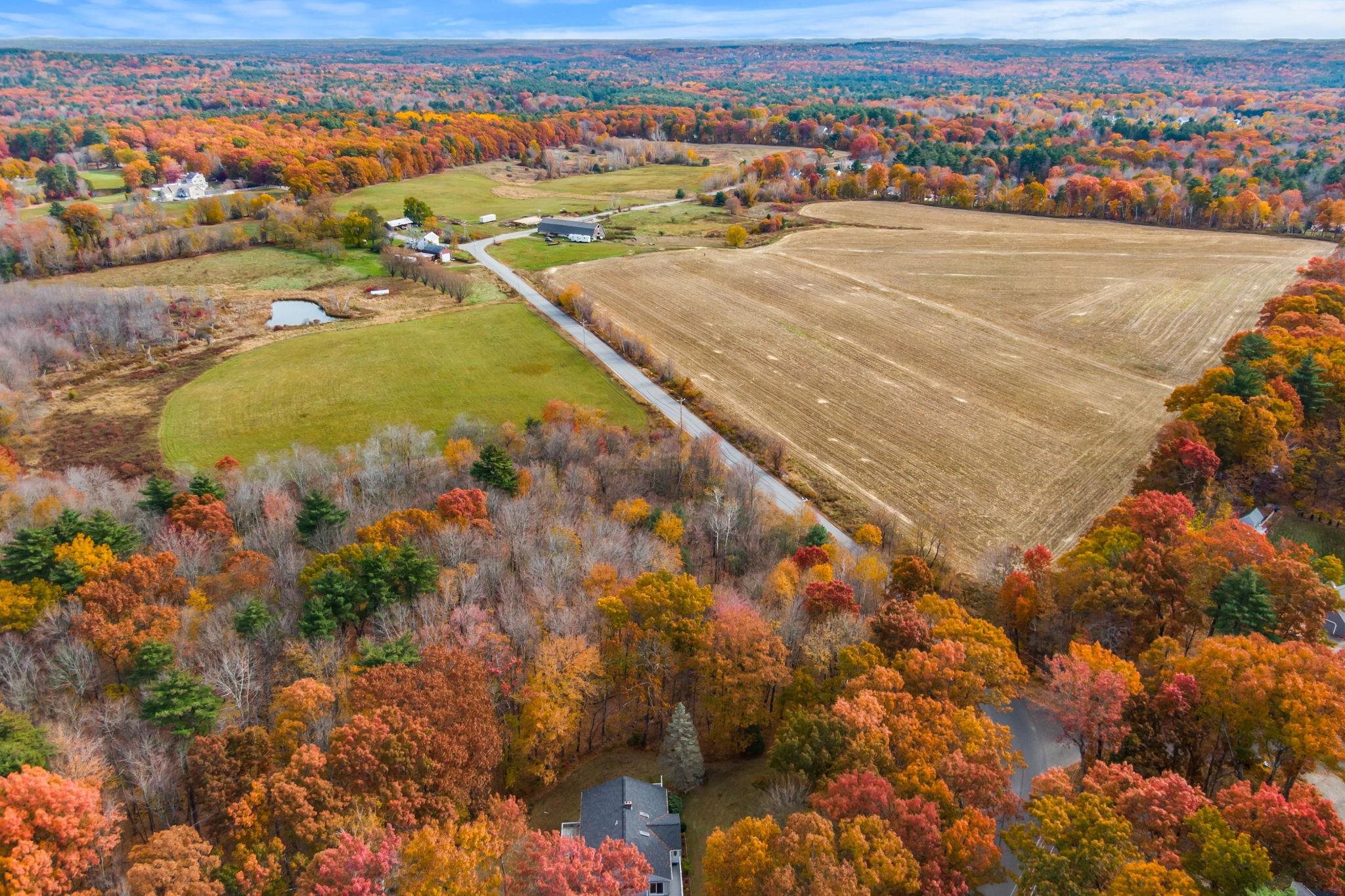 main property photo 50