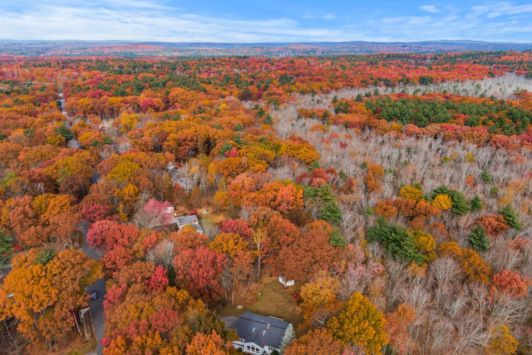 main property photo 51
