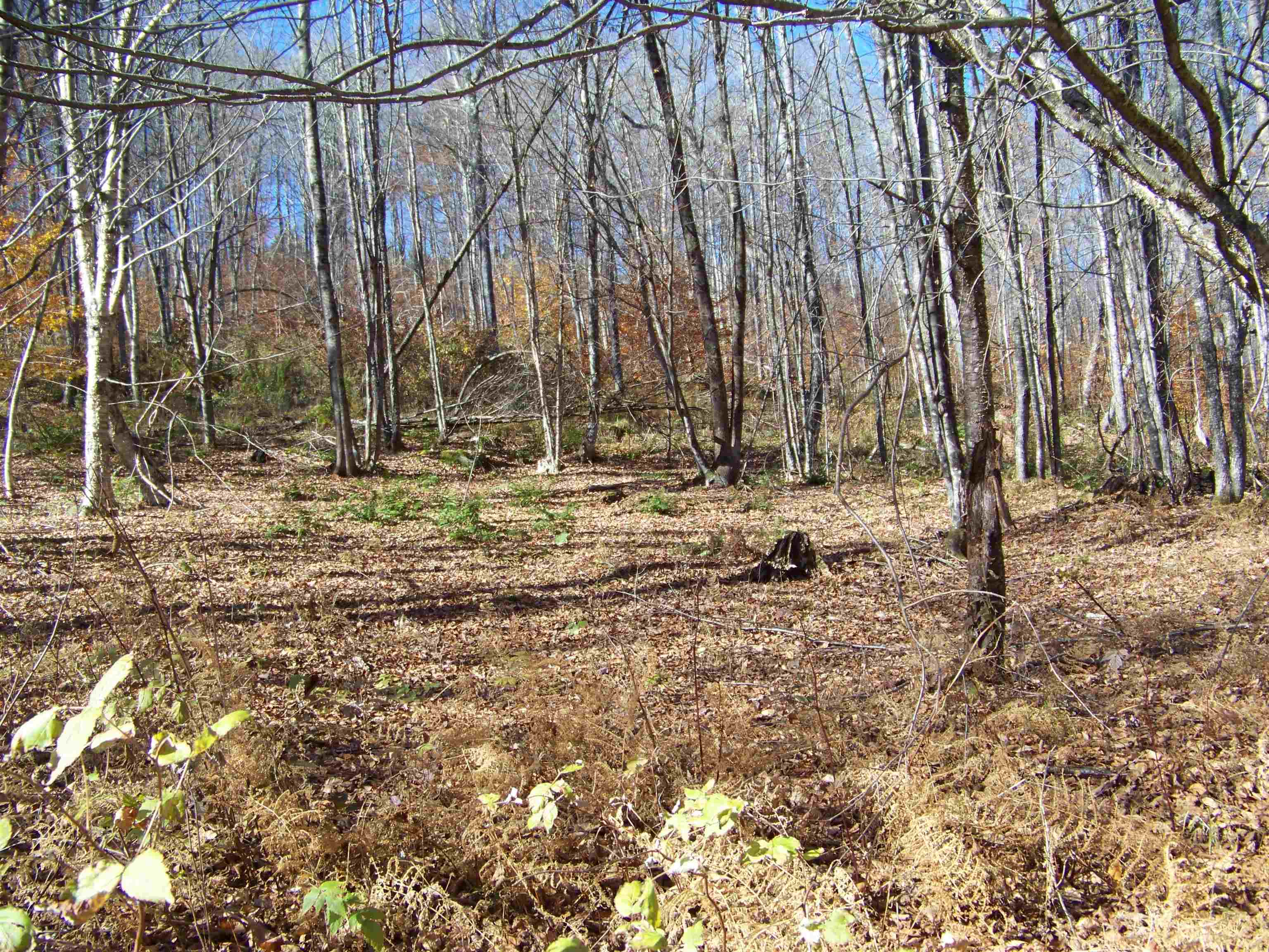 main property photo 7